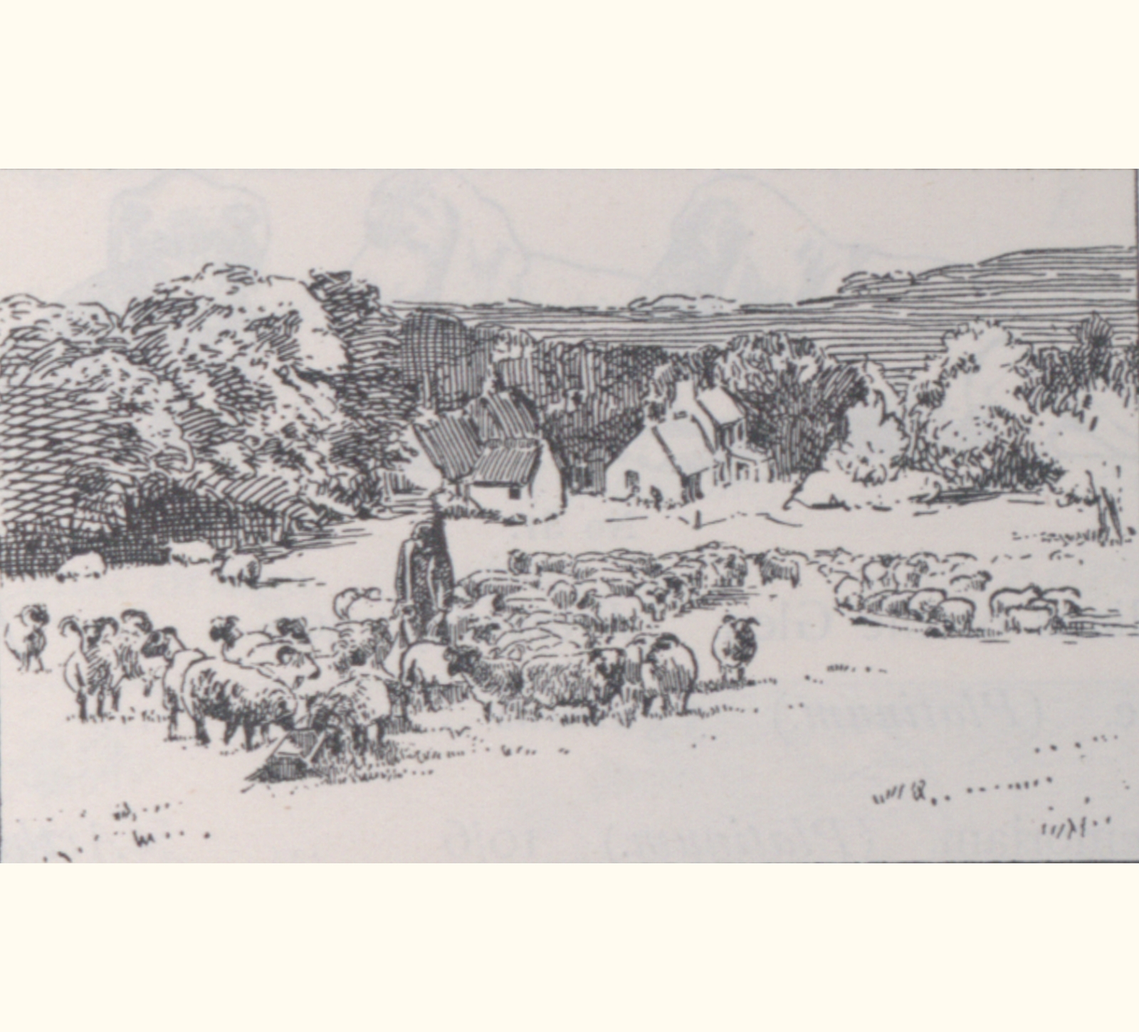 1900 Forty-fifth Annual Exhibition of the Royal Photographic Society