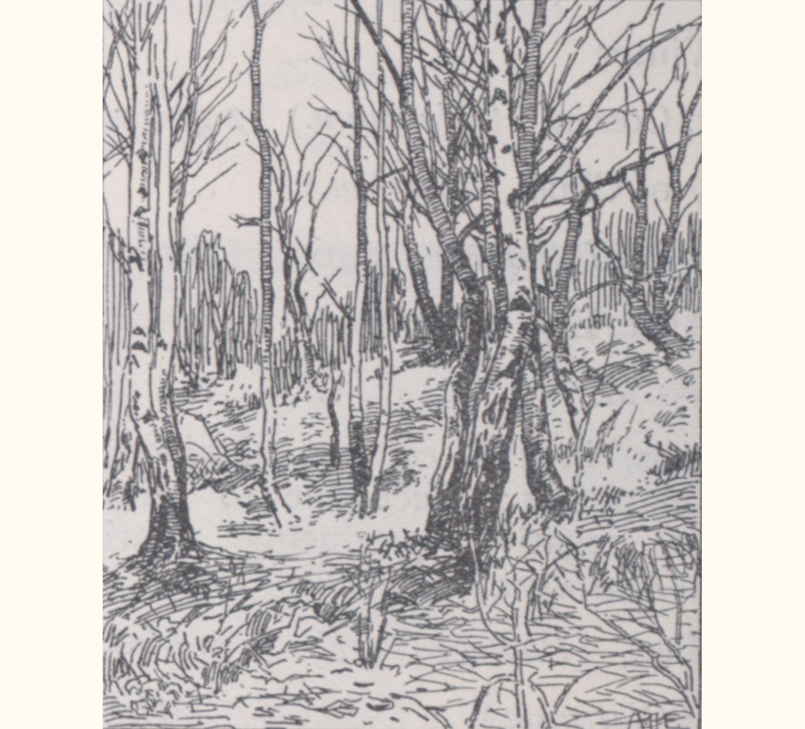 1900 Forty-fifth Annual Exhibition of the Royal Photographic Society