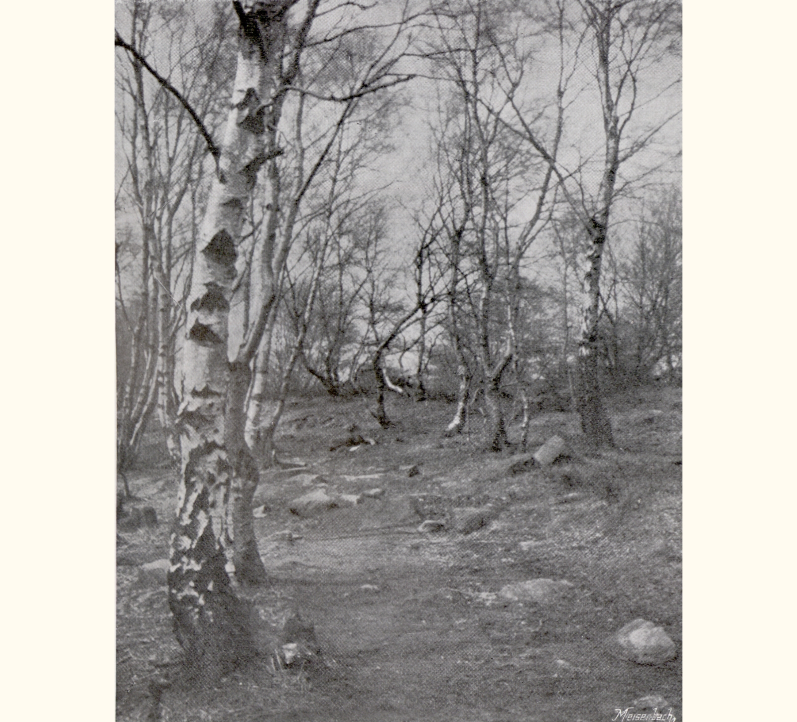 1900 Forty-fifth Annual Exhibition of the Royal Photographic Society
