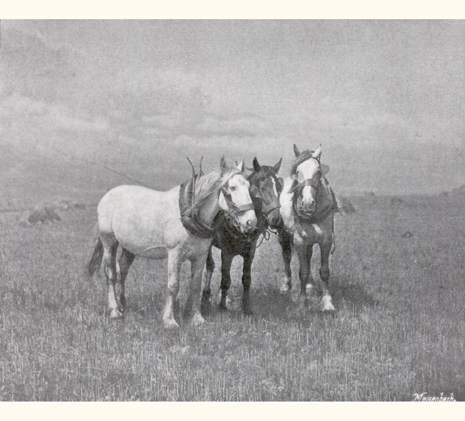 1900 Forty-fifth Annual Exhibition of the Royal Photographic Society