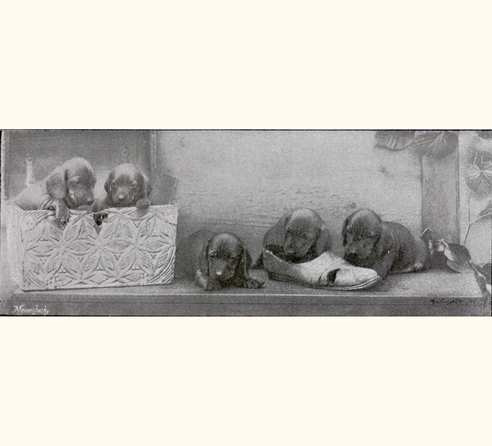 1900 Forty-fifth Annual Exhibition of the Royal Photographic Society