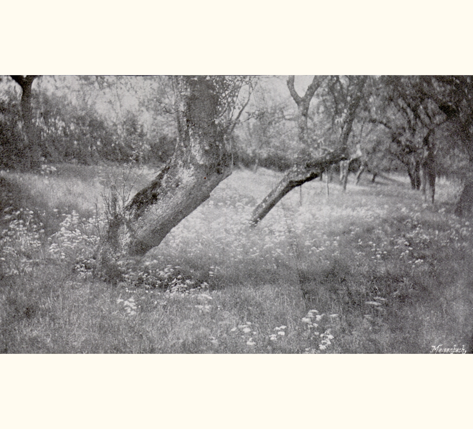 1903 Forty-eighth Annual Exhibition of the Royal Photographic Society of Great Britain