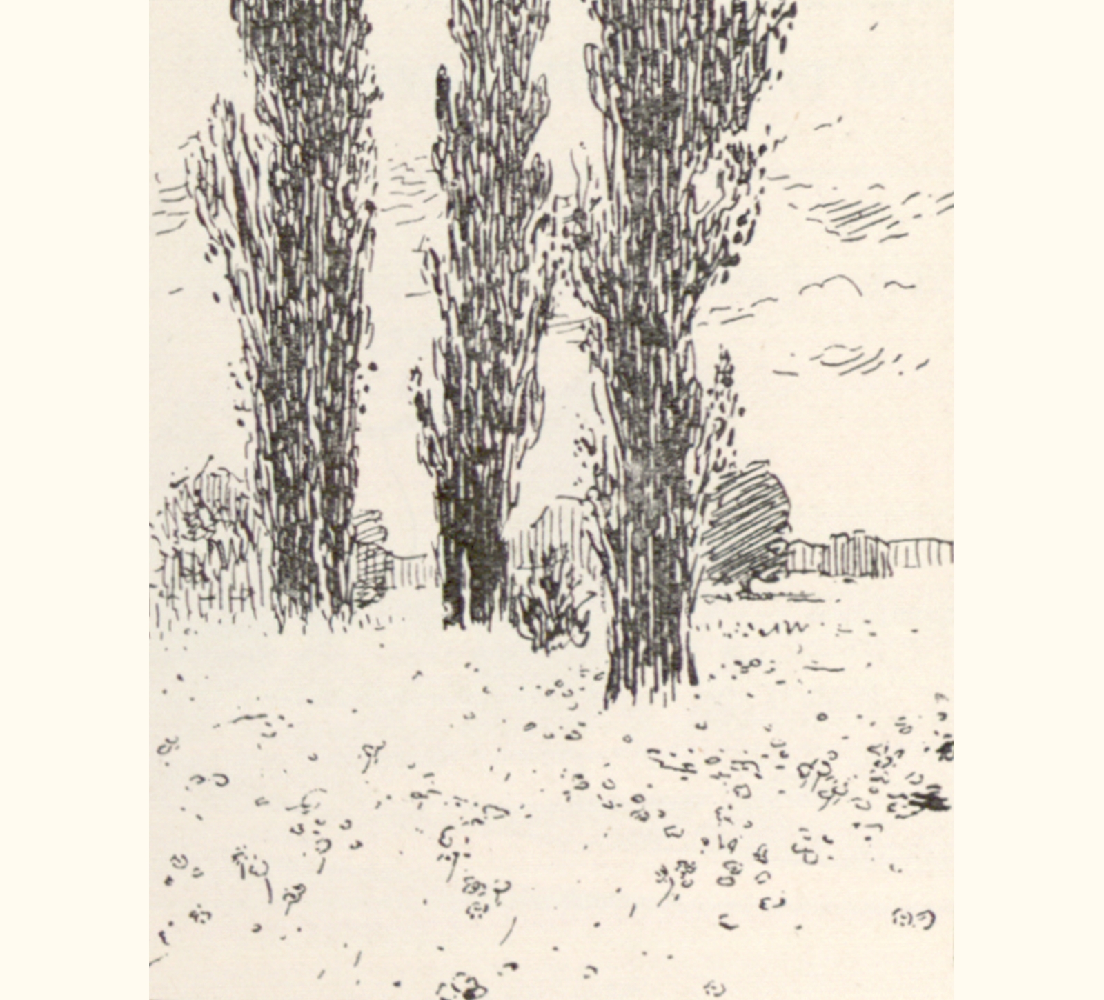 1901 Forty-sixth Annual Exhibition of the Royal Photographic Society