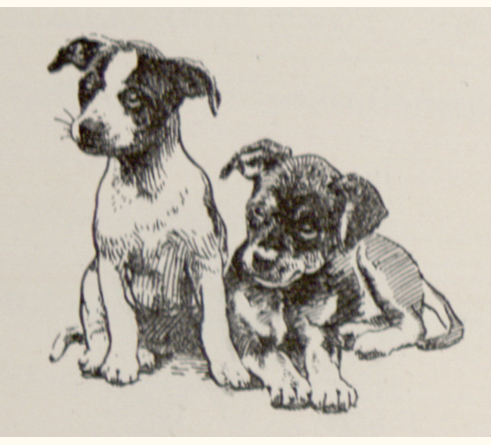 1901 Forty-sixth Annual Exhibition of the Royal Photographic Society