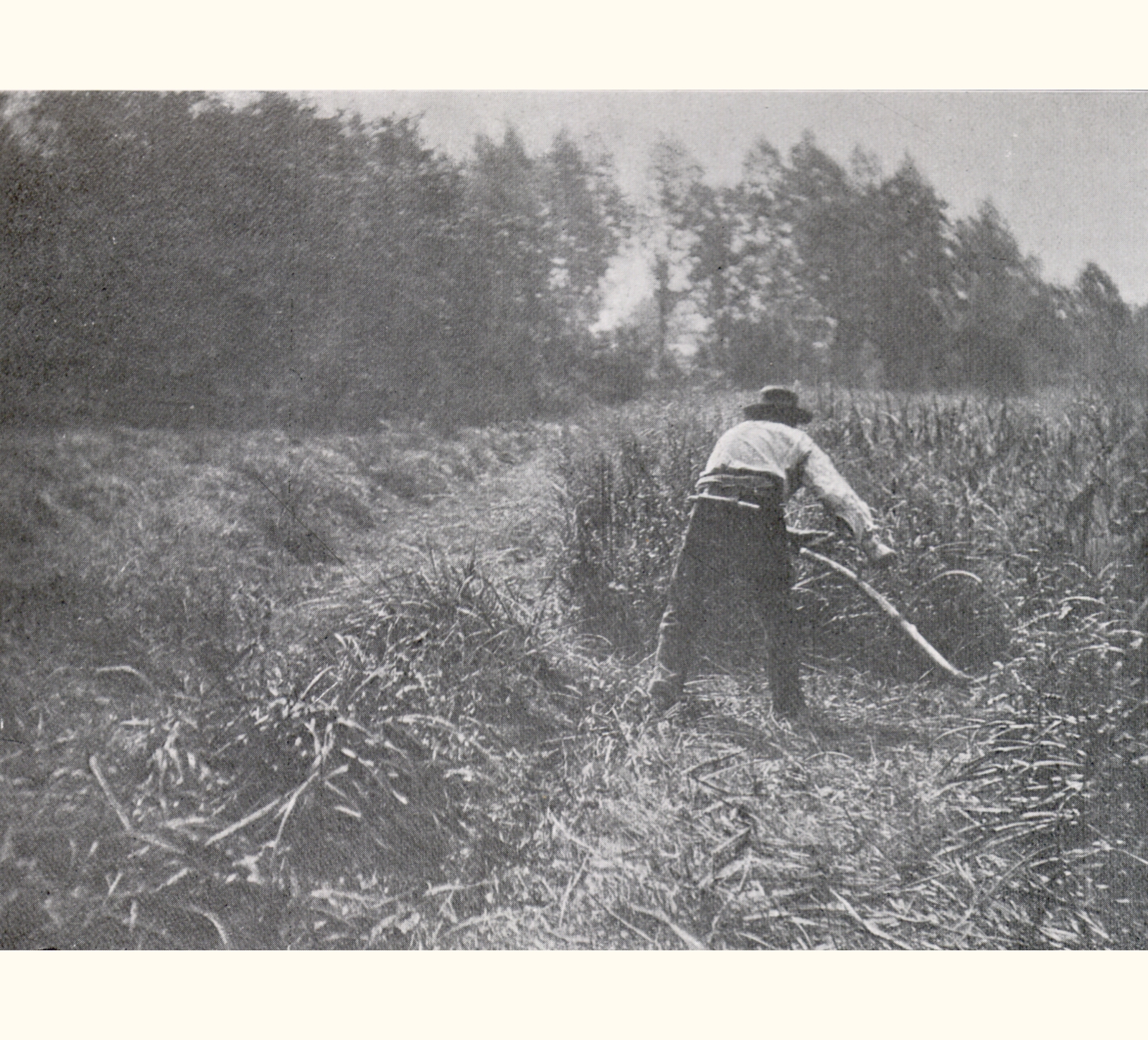 1901 Forty-sixth Annual Exhibition of the Royal Photographic Society