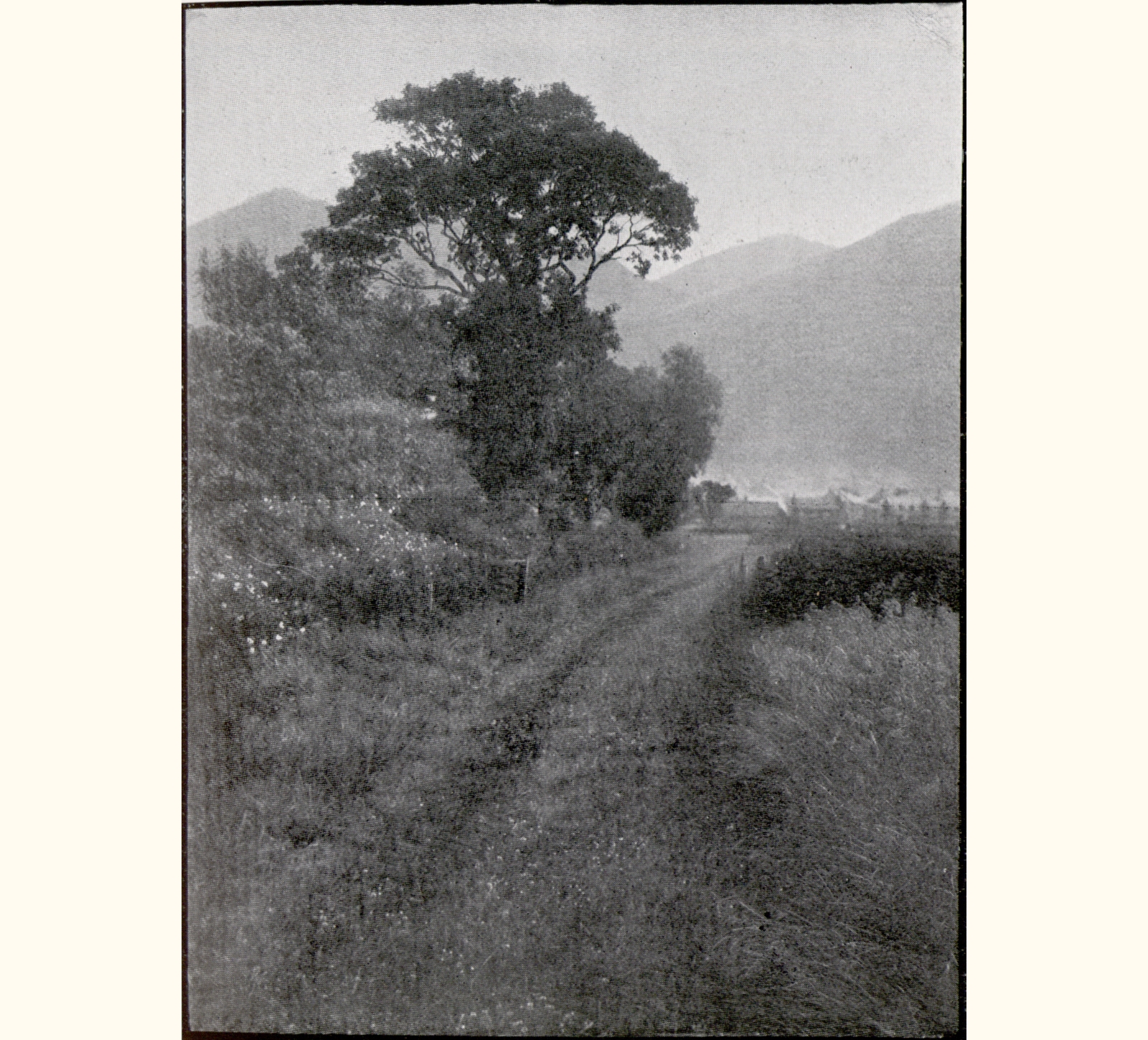 1901 Forty-sixth Annual Exhibition of the Royal Photographic Society