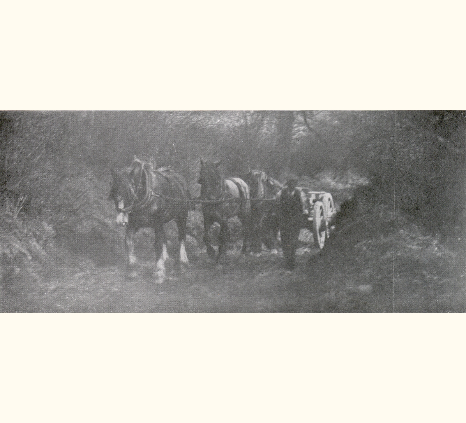 1901 Forty-sixth Annual Exhibition of the Royal Photographic Society