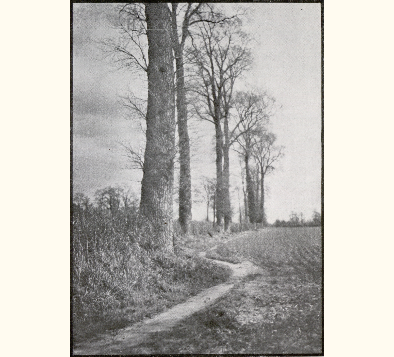 1901 Forty-sixth Annual Exhibition of the Royal Photographic Society