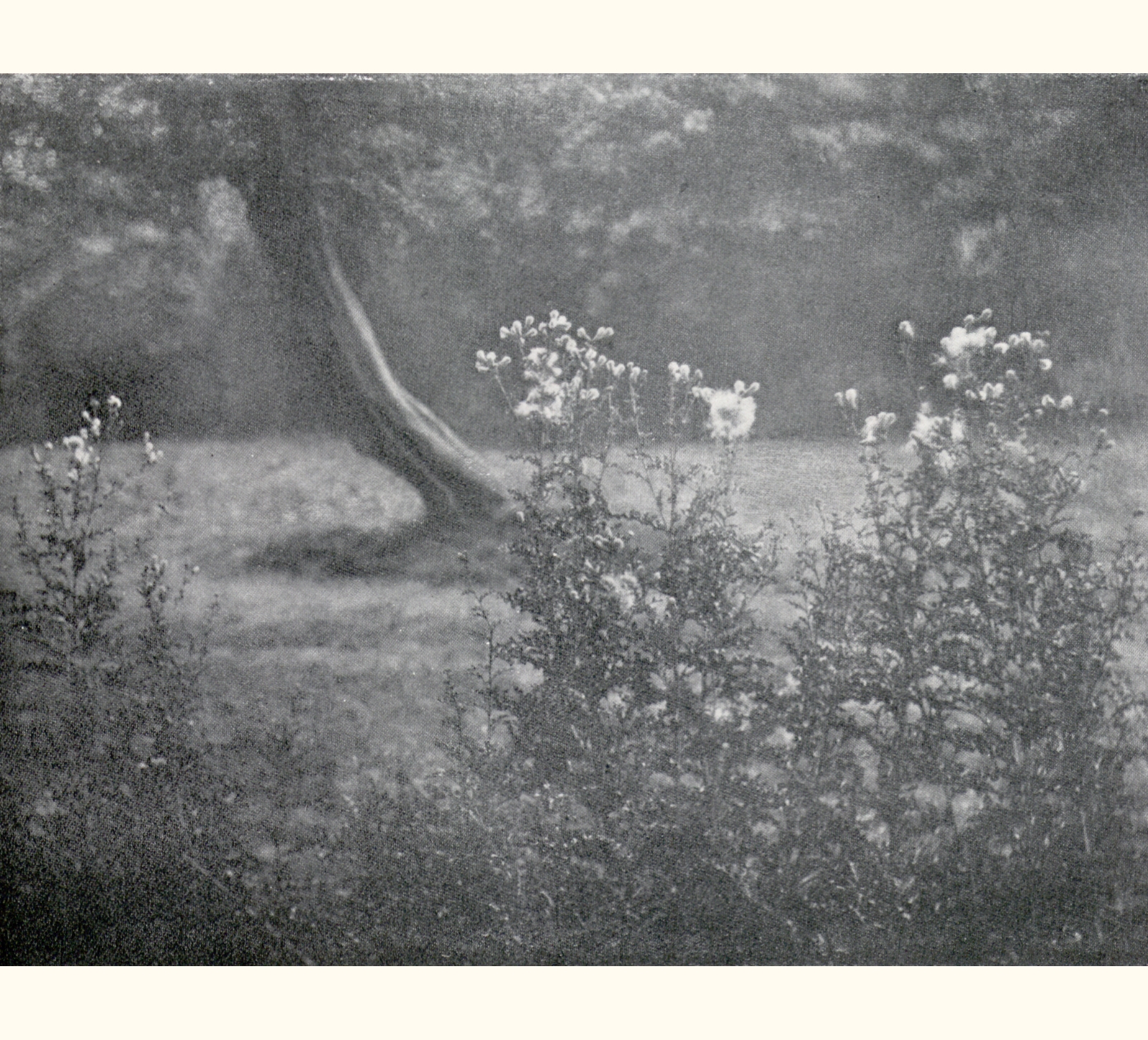 1902 Forty-seventh Annual Exhibition of the Royal Photographic Society of Great Britain