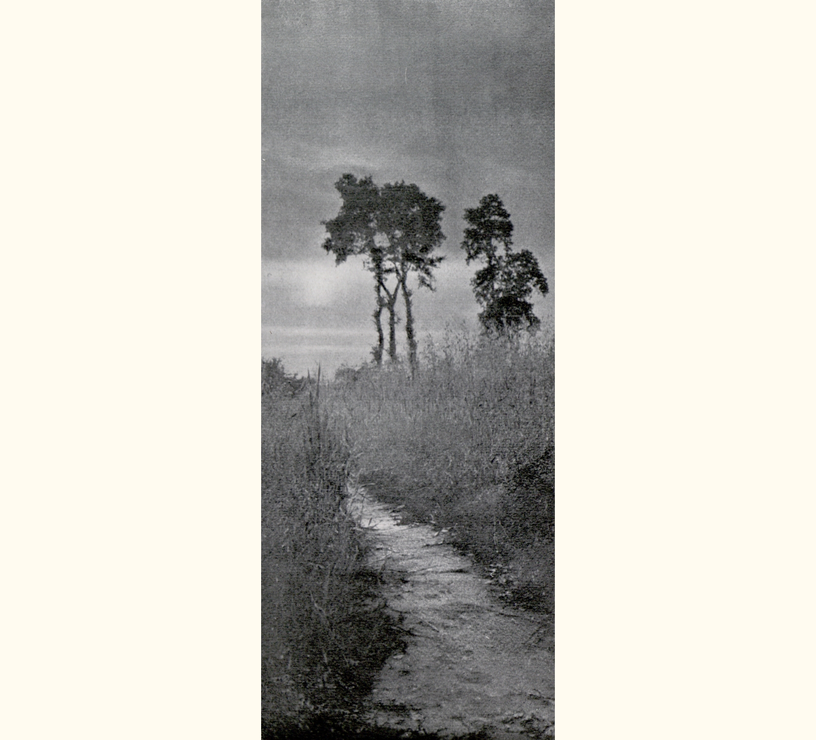 1902 Forty-seventh Annual Exhibition of the Royal Photographic Society of Great Britain