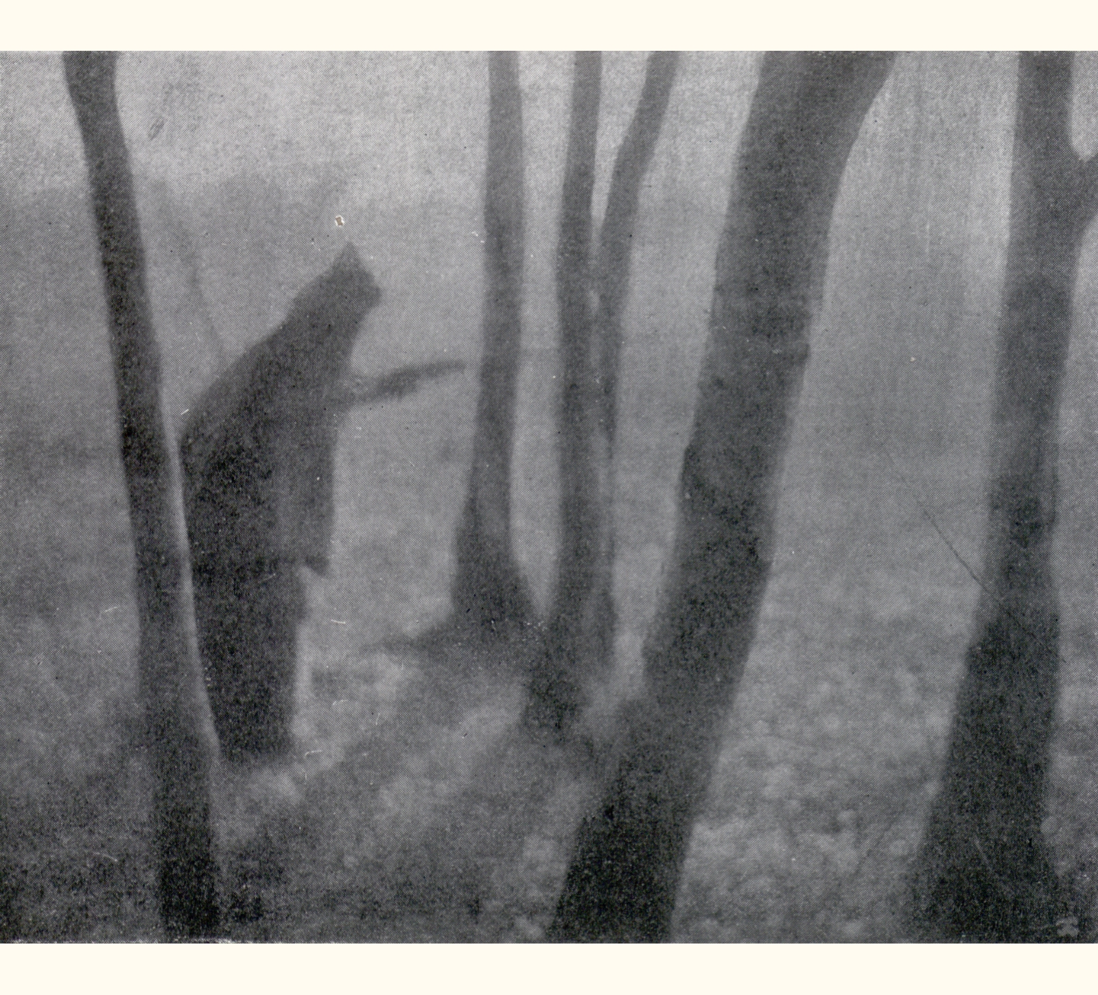 1902 Forty-seventh Annual Exhibition of the Royal Photographic Society of Great Britain