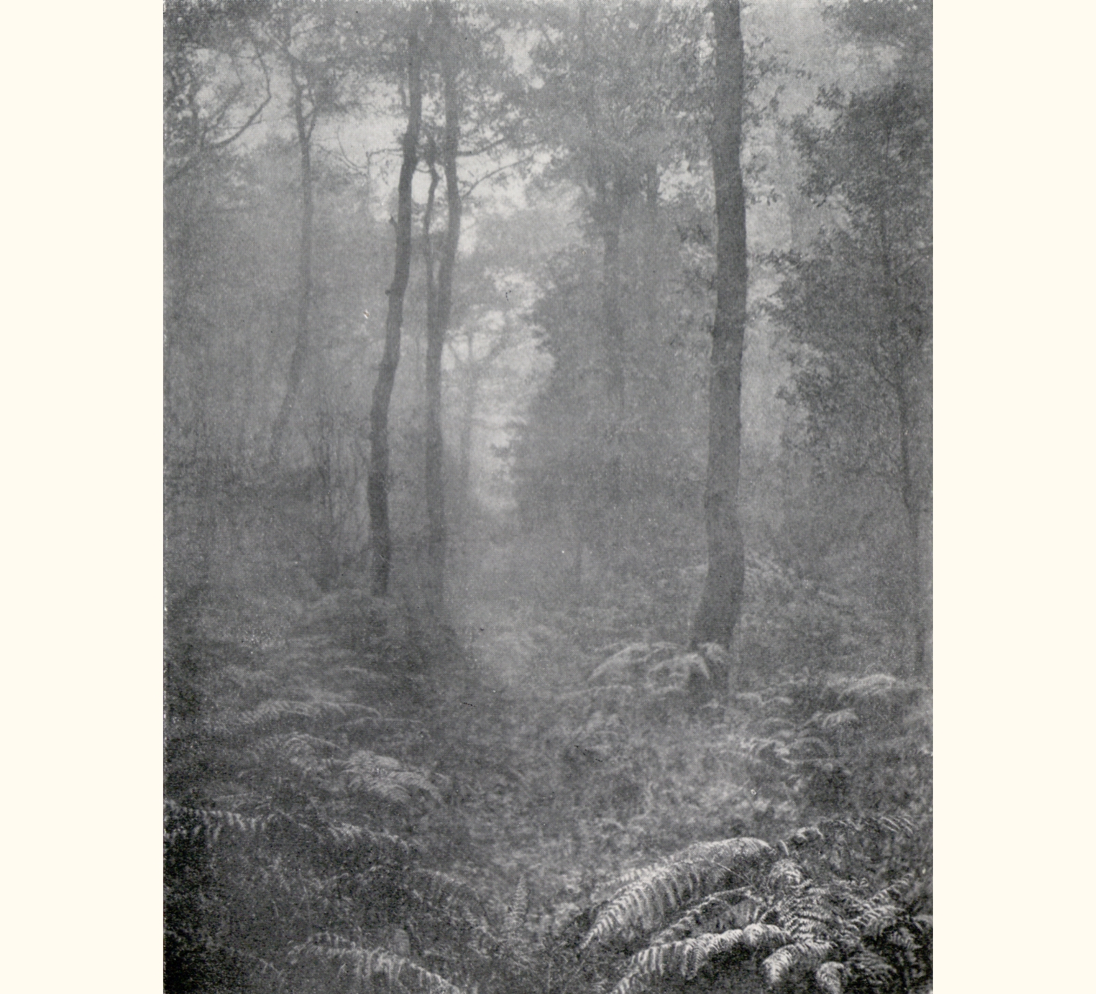 1902 Forty-seventh Annual Exhibition of the Royal Photographic Society of Great Britain