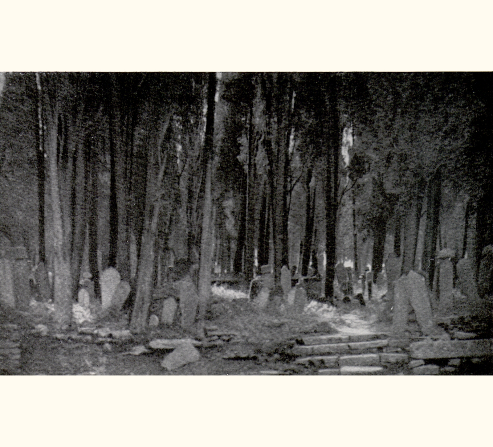 1903 Forty-eighth Annual Exhibition of the Royal Photographic Society of Great Britain