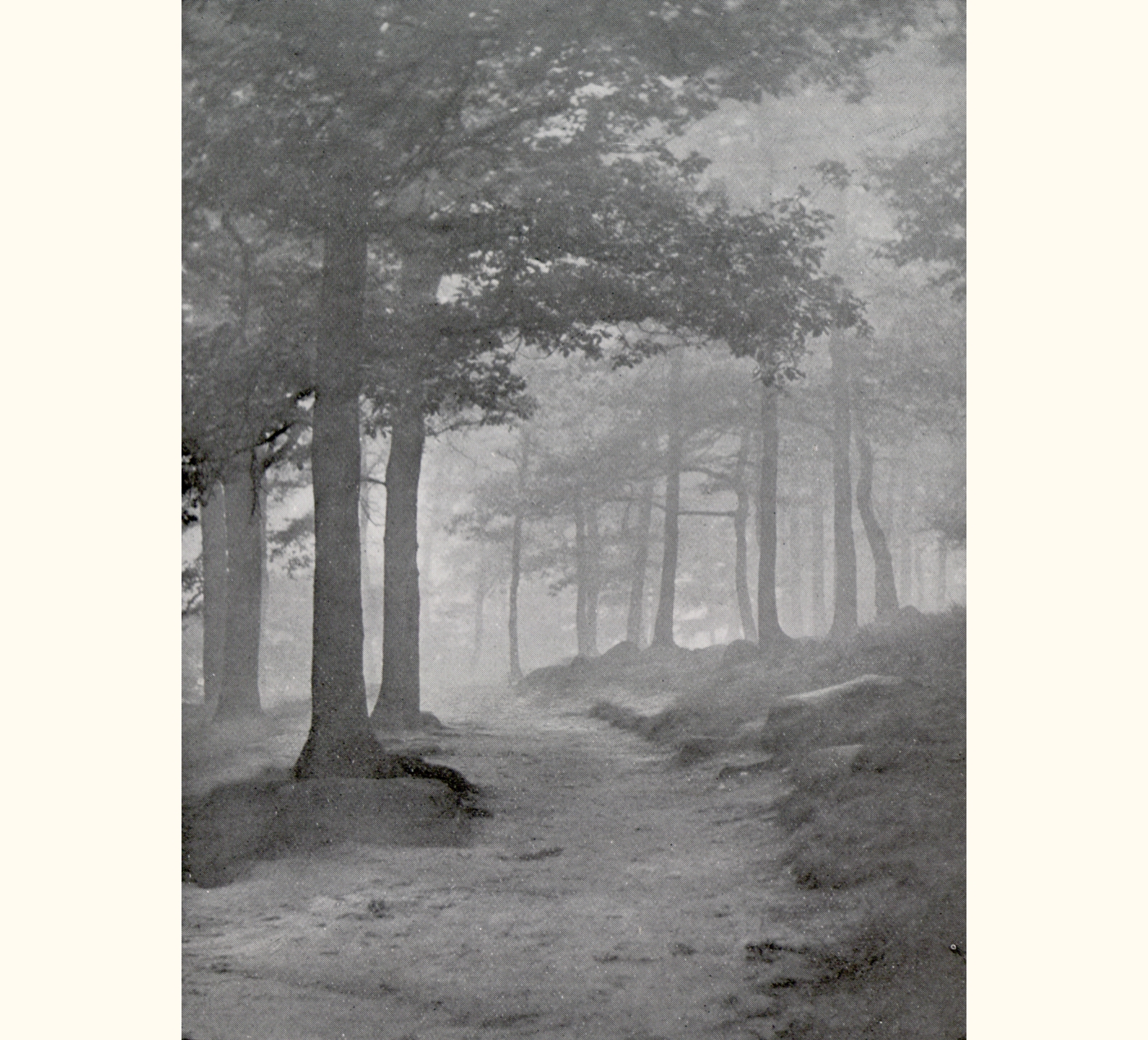 1903 Forty-eighth Annual Exhibition of the Royal Photographic Society of Great Britain