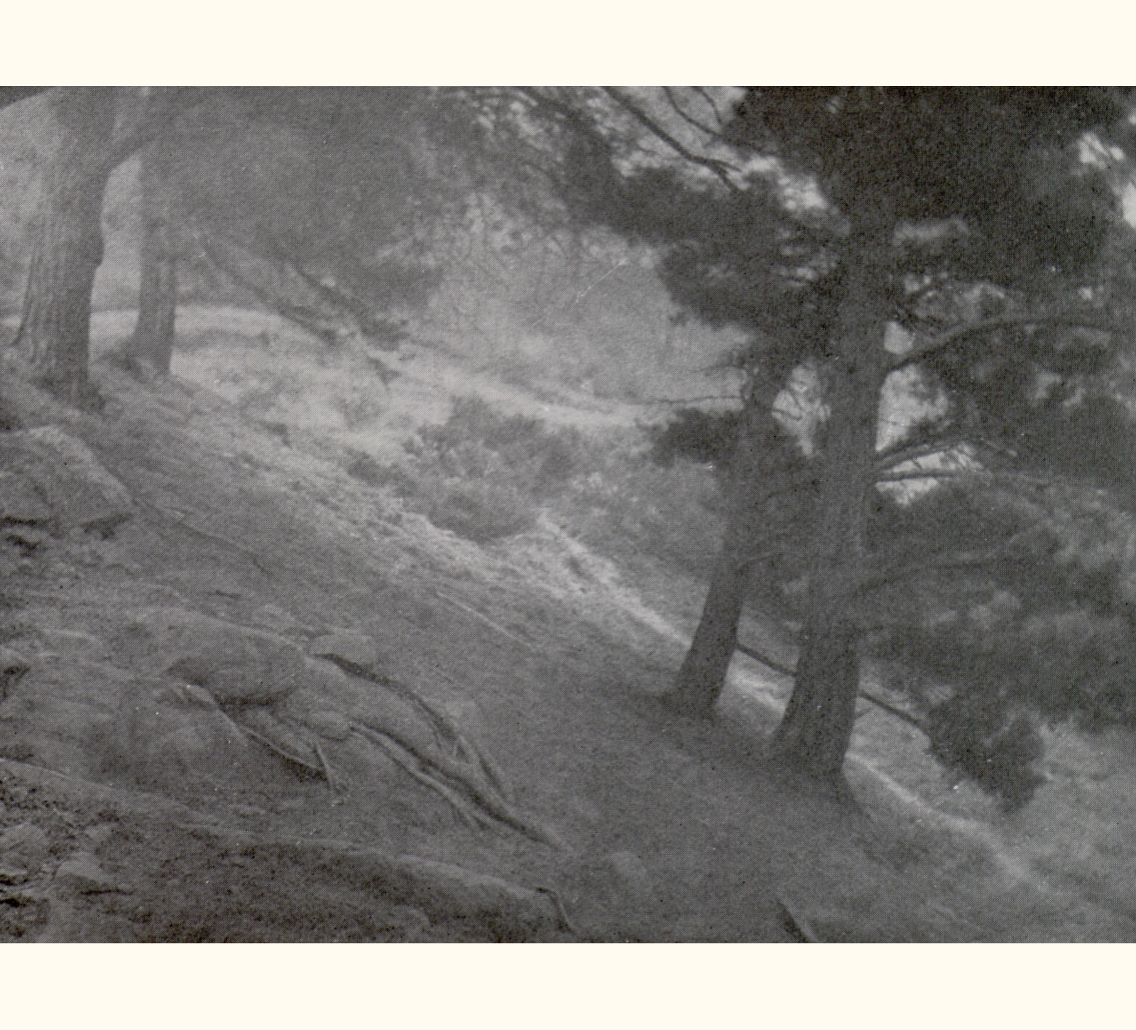 1903 Forty-eighth Annual Exhibition of the Royal Photographic Society of Great Britain