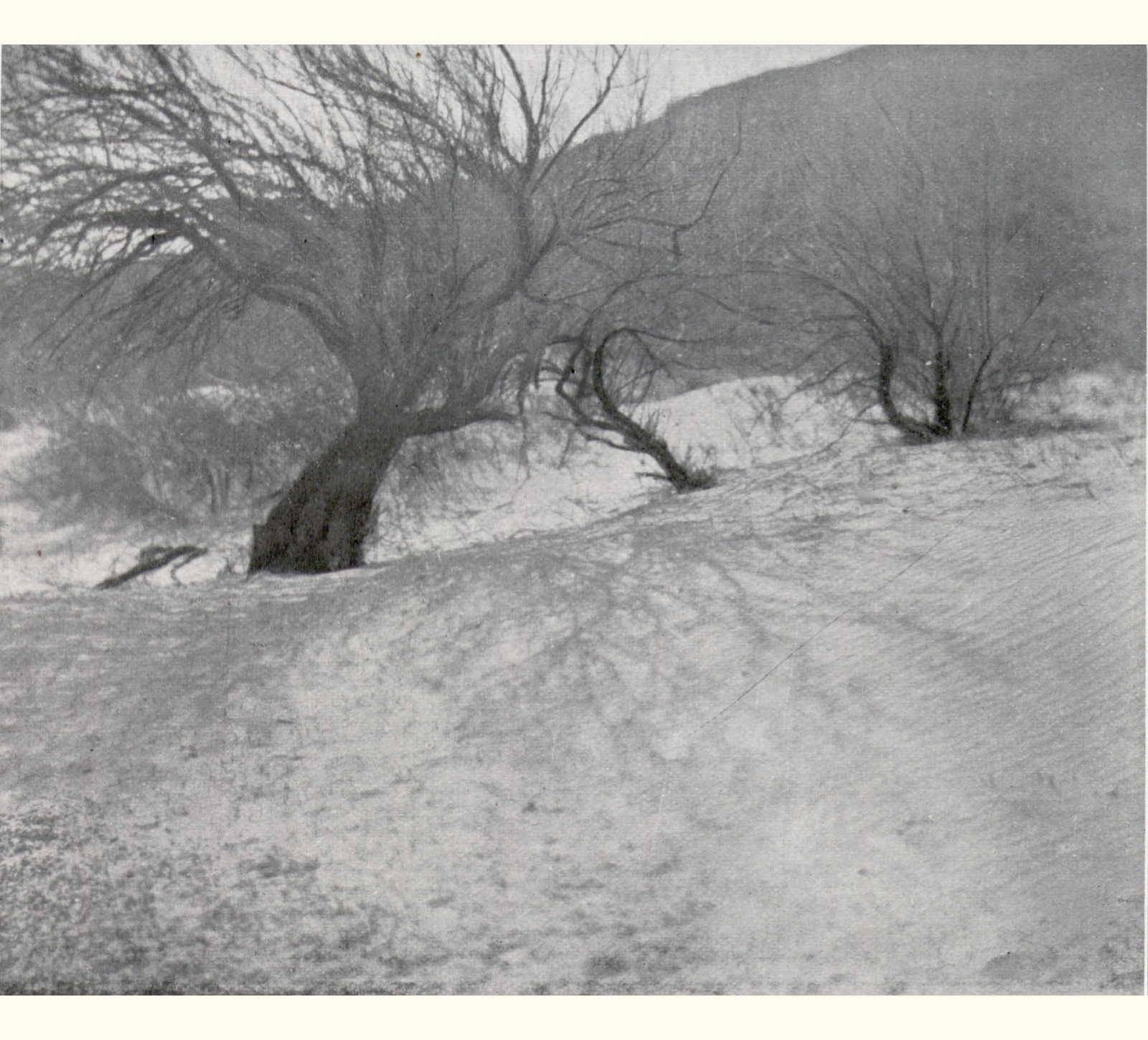 1904 Forty-ninth Annual Exhibition of the Royal Photographic Society of Great Britain