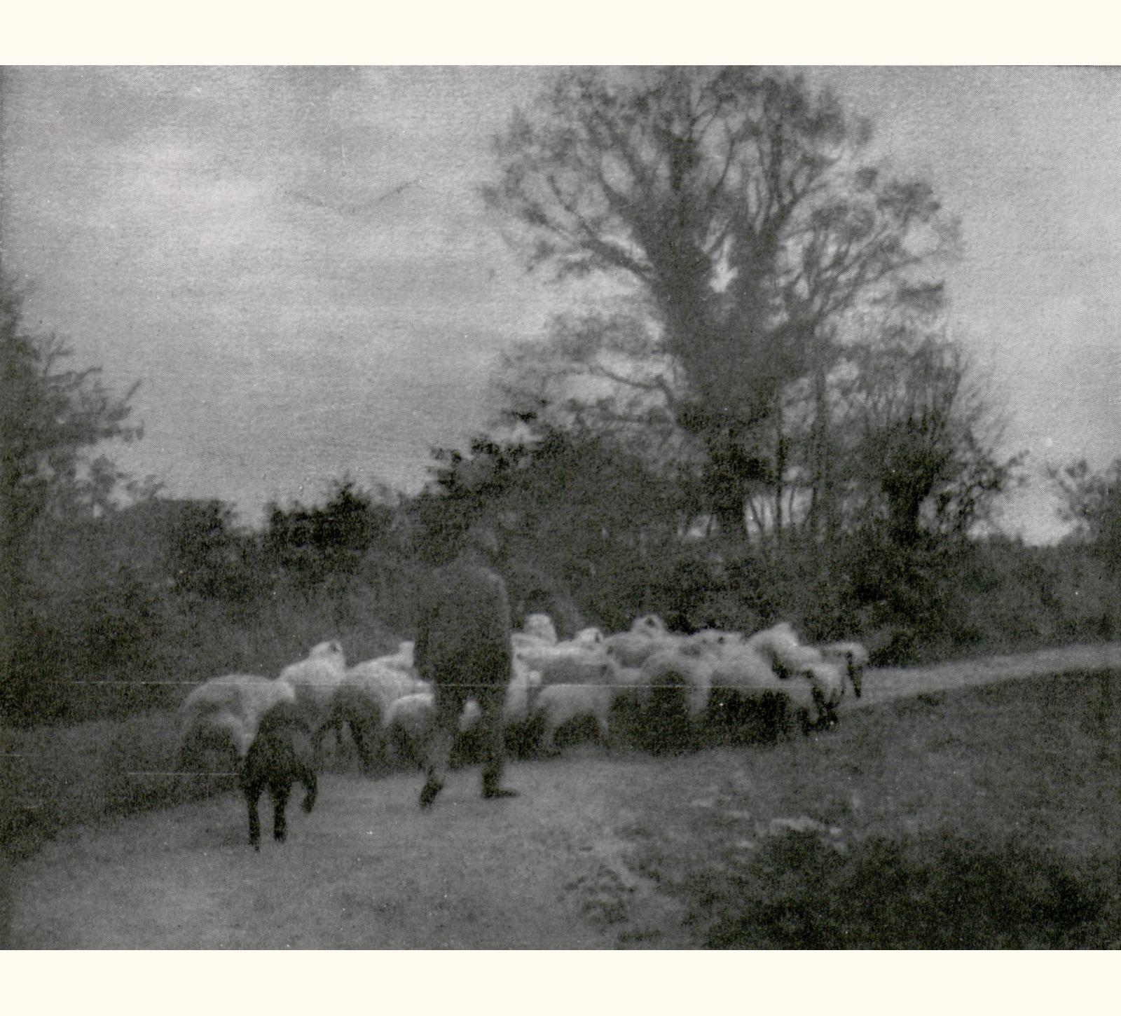 1904 Forty-ninth Annual Exhibition of the Royal Photographic Society of Great Britain