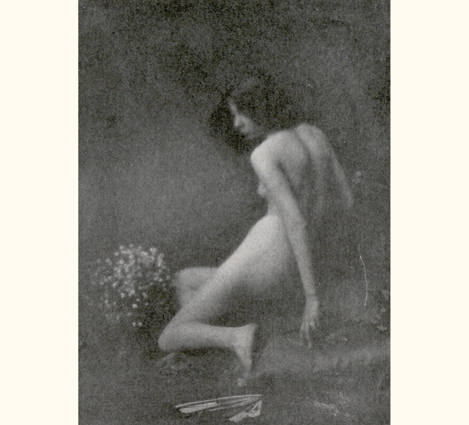 1904 Forty-ninth Annual Exhibition of the Royal Photographic Society of Great Britain