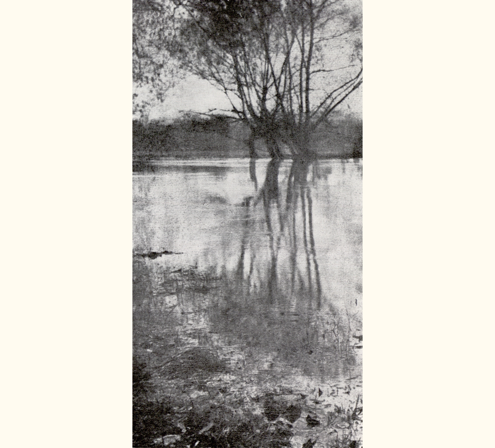 1905 Fiftieth Annual Exhibition of the Royal Photographic Society of Great Britain