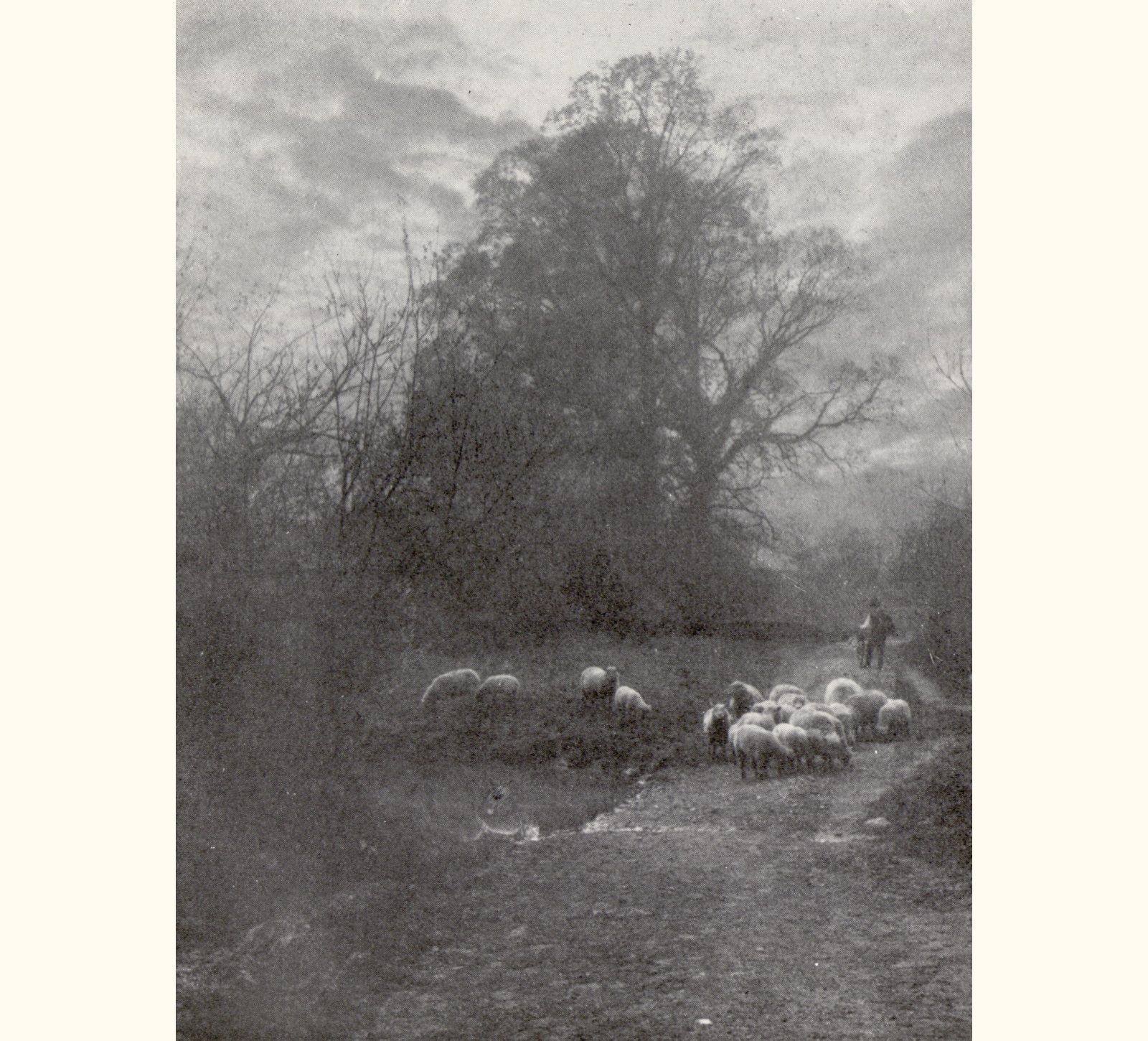 1905 Fiftieth Annual Exhibition of the Royal Photographic Society of Great Britain