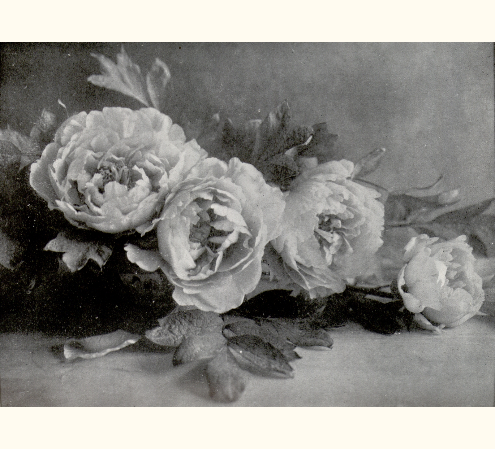 1906 Fifty-first Annual Exhibition of the Royal Photographic Society of Great Britain