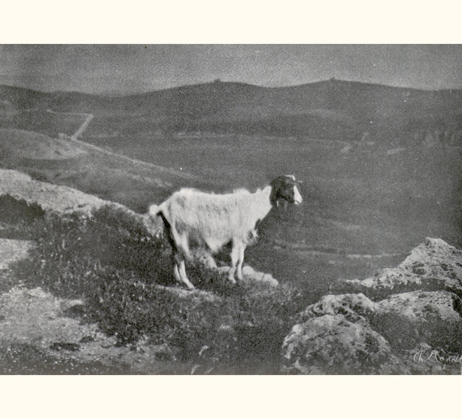 1906 Fifty-first Annual Exhibition of the Royal Photographic Society of Great Britain