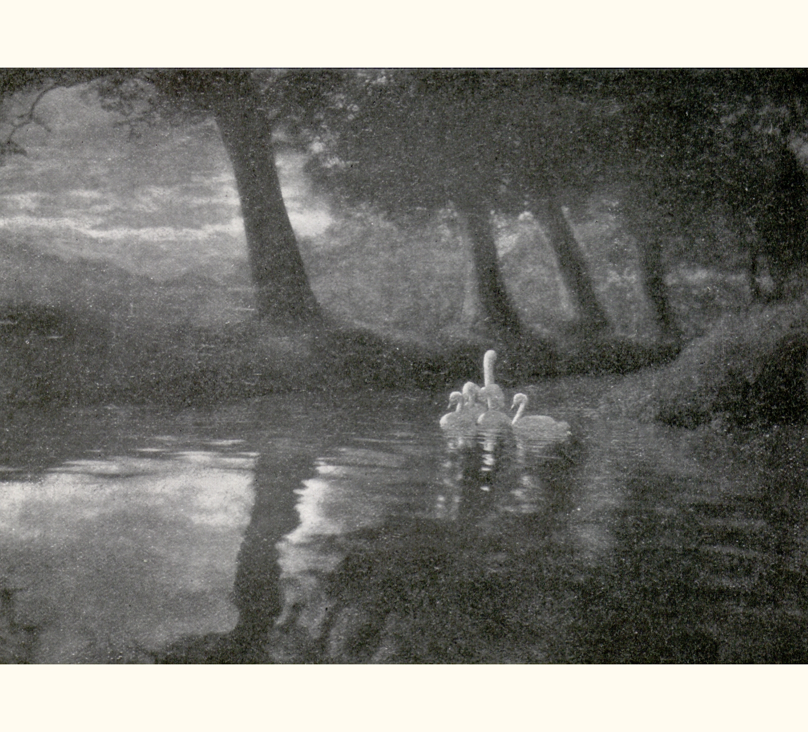 1907 Fifty-second Annual Exhibition of the Royal Photographic Society of Great Britain