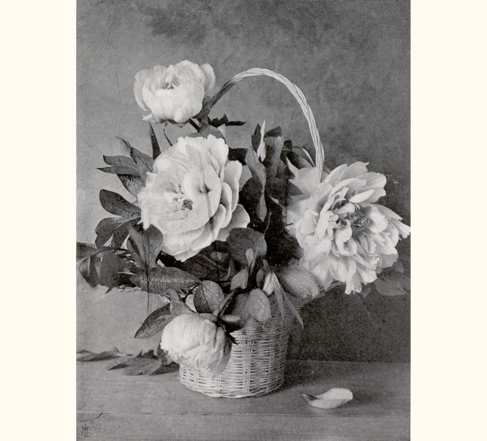 1908 Fifty-third Annual Exhibition of the Royal Photographic Society of Great Britain