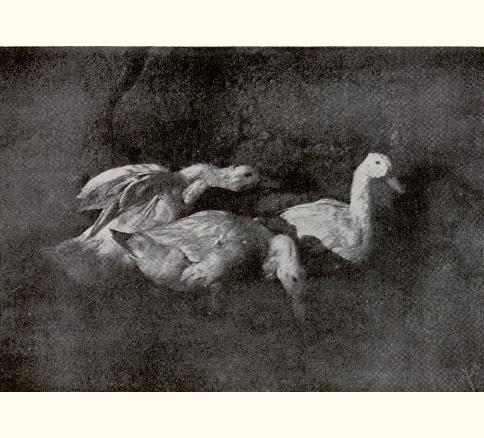 1908 Fifty-third Annual Exhibition of the Royal Photographic Society of Great Britain