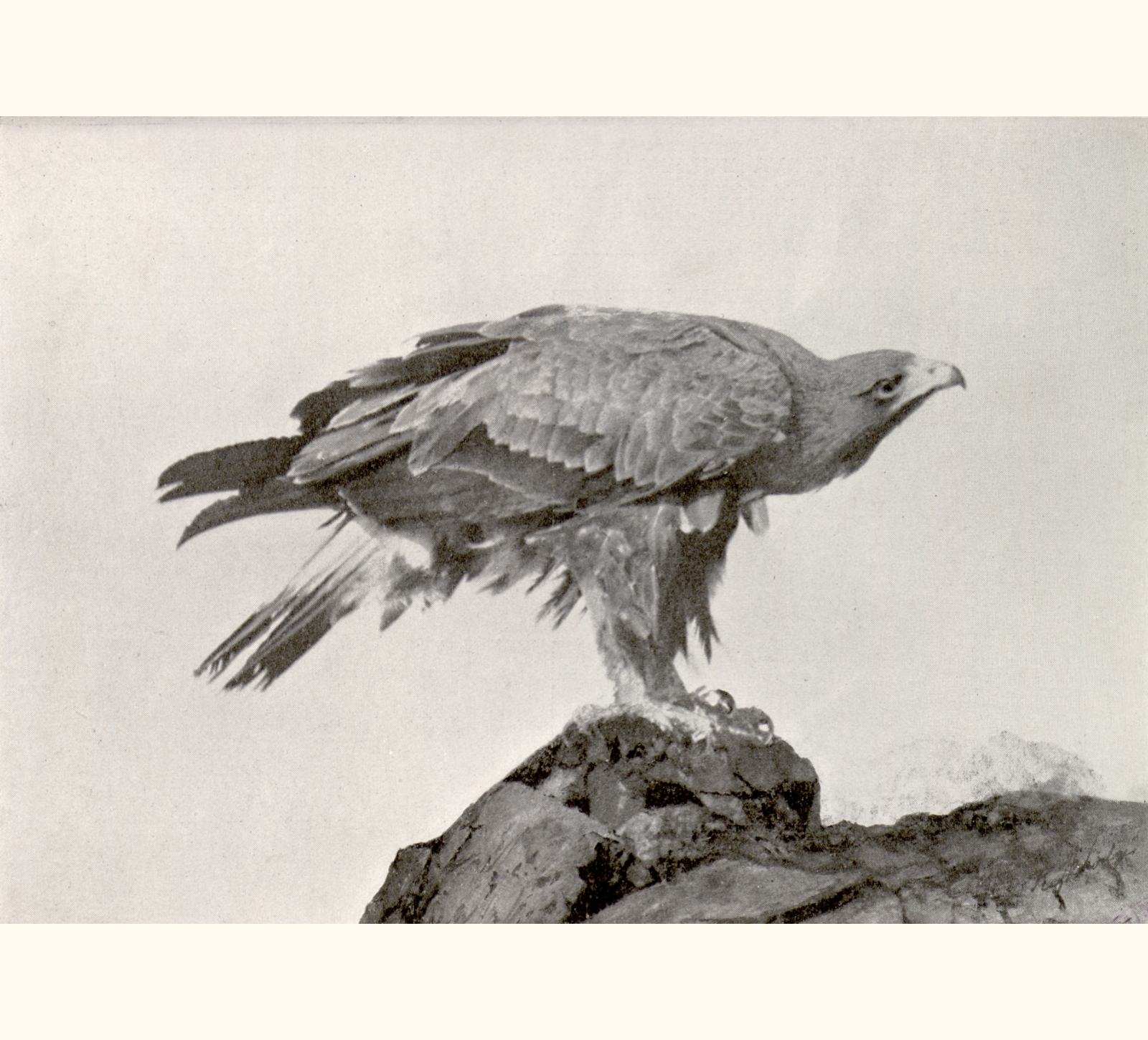 1909 Fifty-fourth Annual Exhibition of the Royal Photographic Society of Great Britain