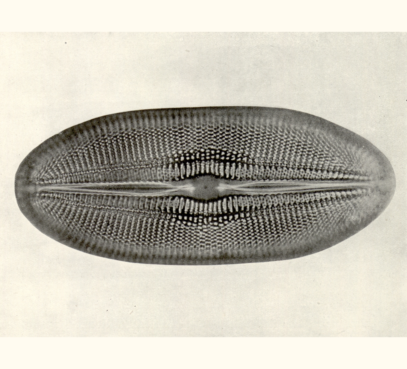 1911 Fifty-sixth Annual Exhibition of the Royal Photographic Society of Great Britain