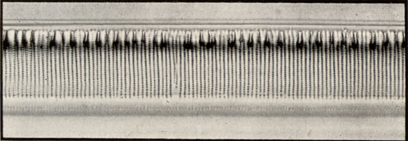 1915 Sixtieth Annual Exhibition of the Royal Photographic Society of Great Britain