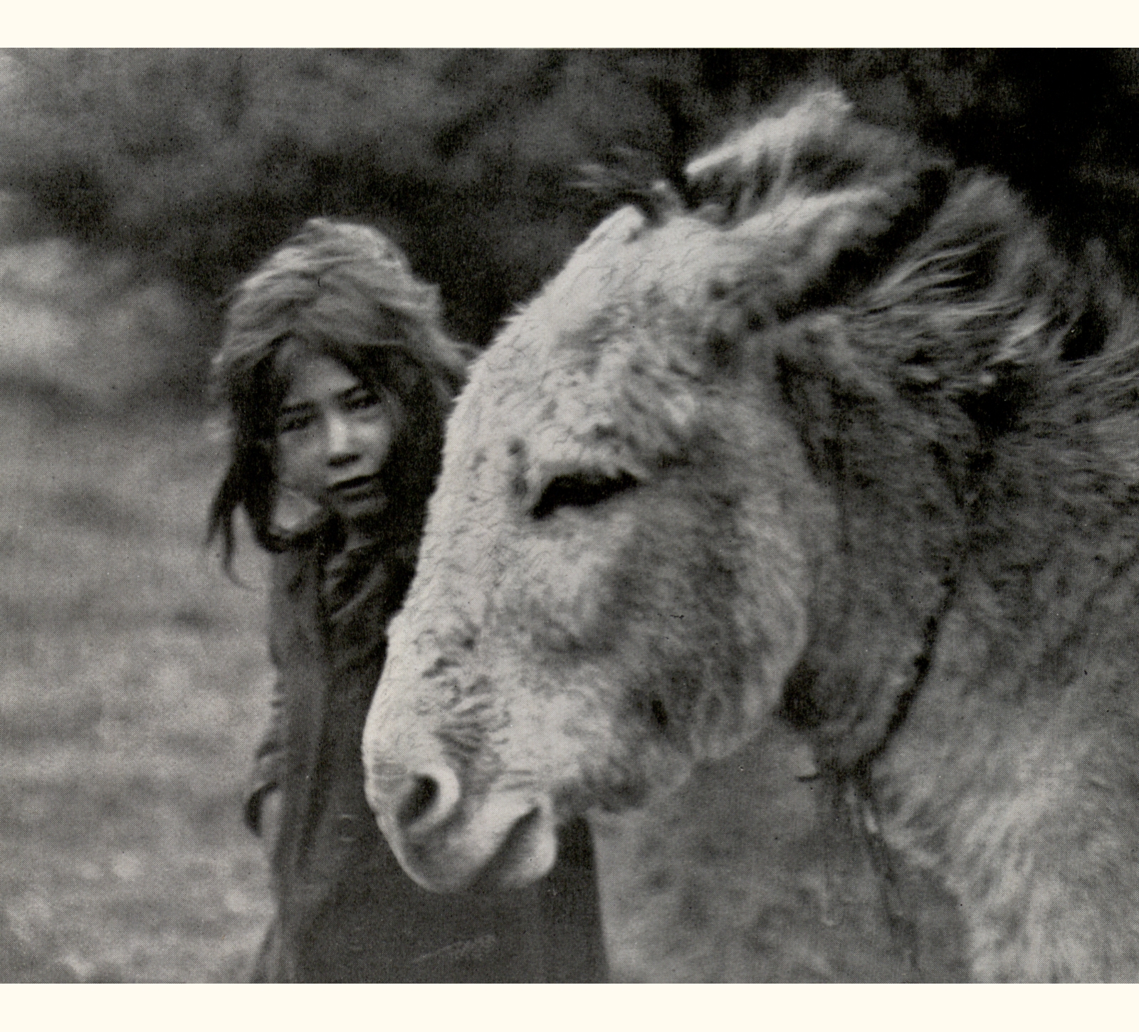 1915 Sixtieth Annual Exhibition of the Royal Photographic Society of Great Britain