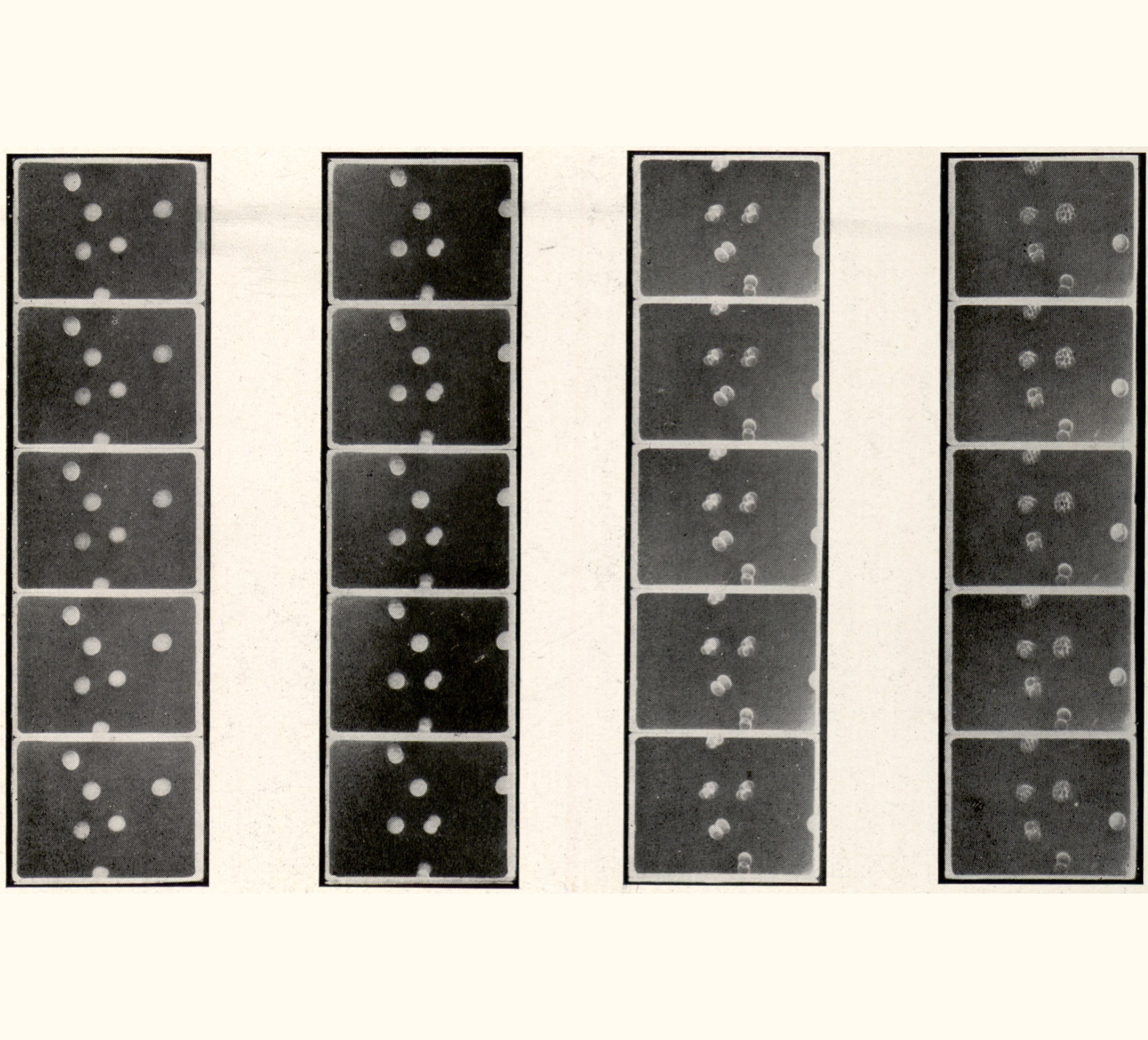 1915 Sixtieth Annual Exhibition of the Royal Photographic Society of Great Britain