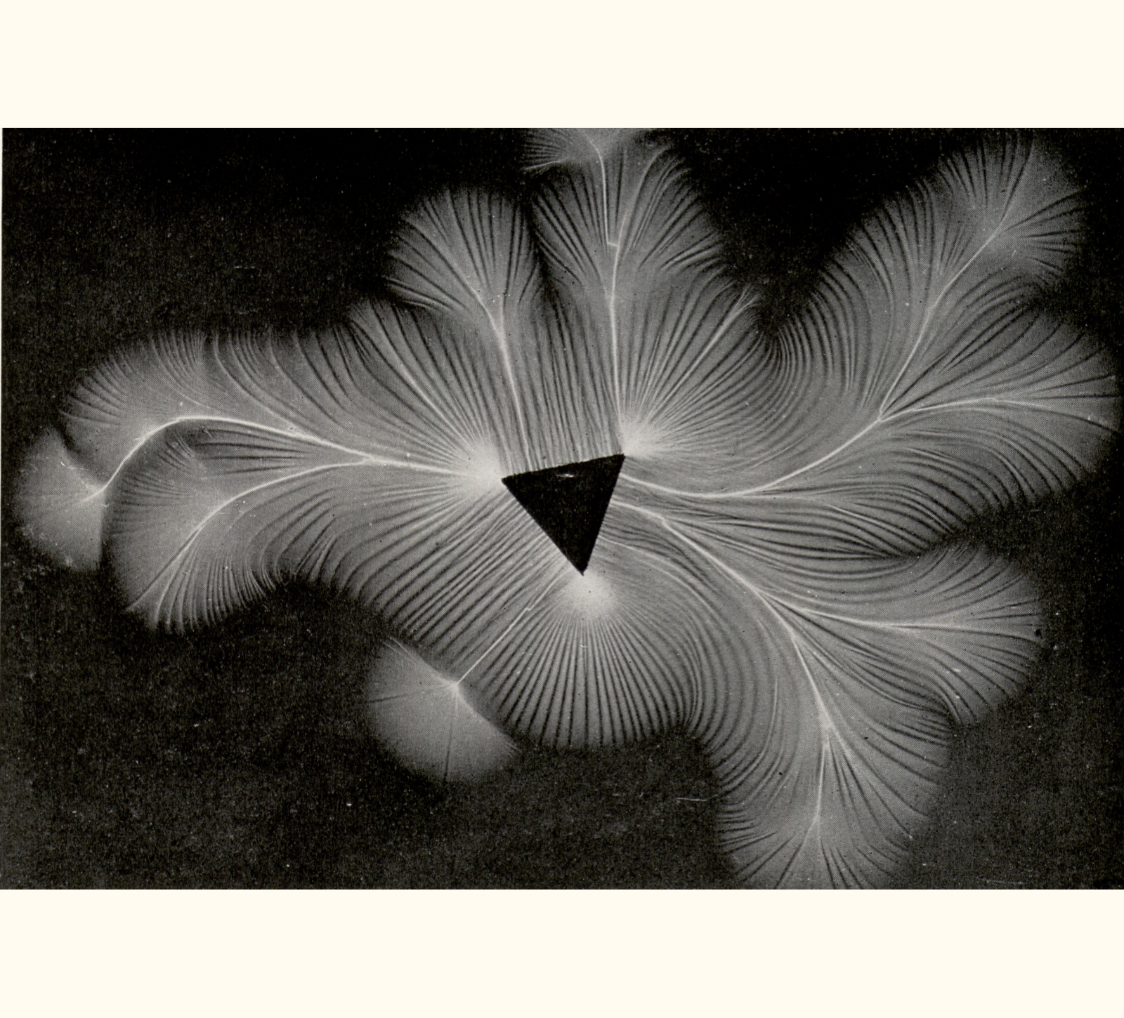1915 Sixtieth Annual Exhibition of the Royal Photographic Society of Great Britain