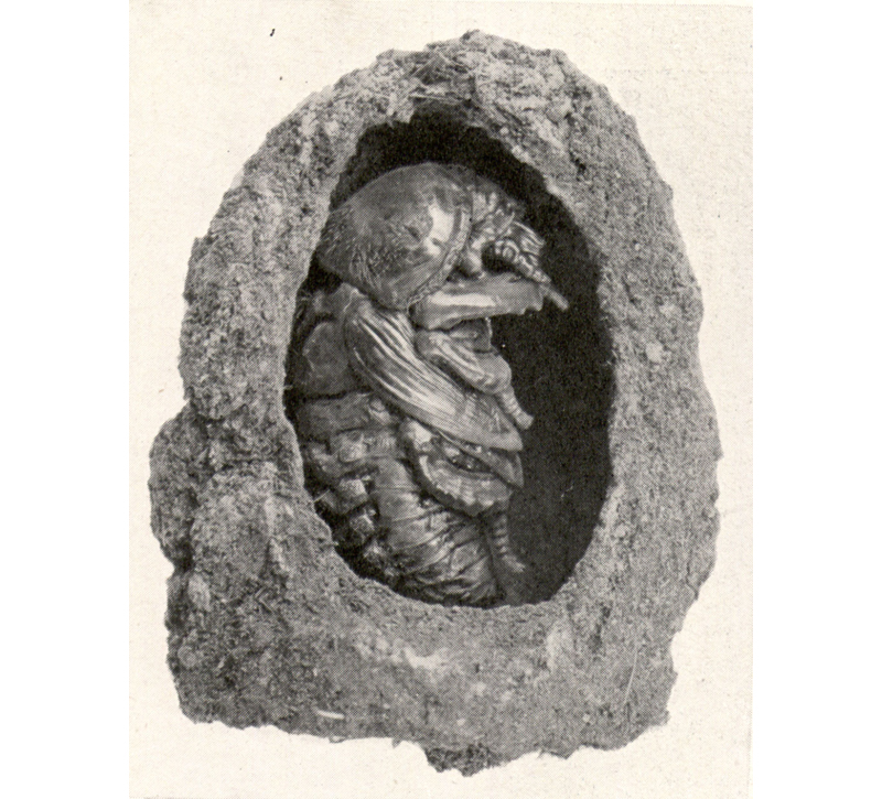 1915 Sixtieth Annual Exhibition of the Royal Photographic Society of Great Britain