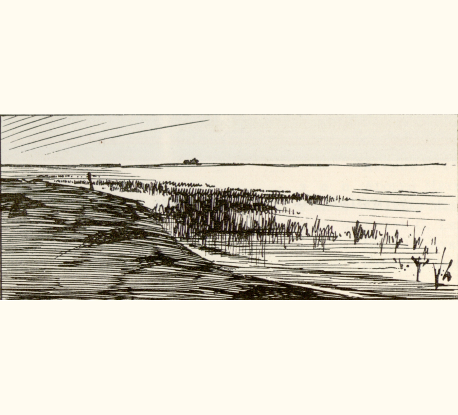 1895 Fortieth Annual Exhibition of the Royal Photographic Society