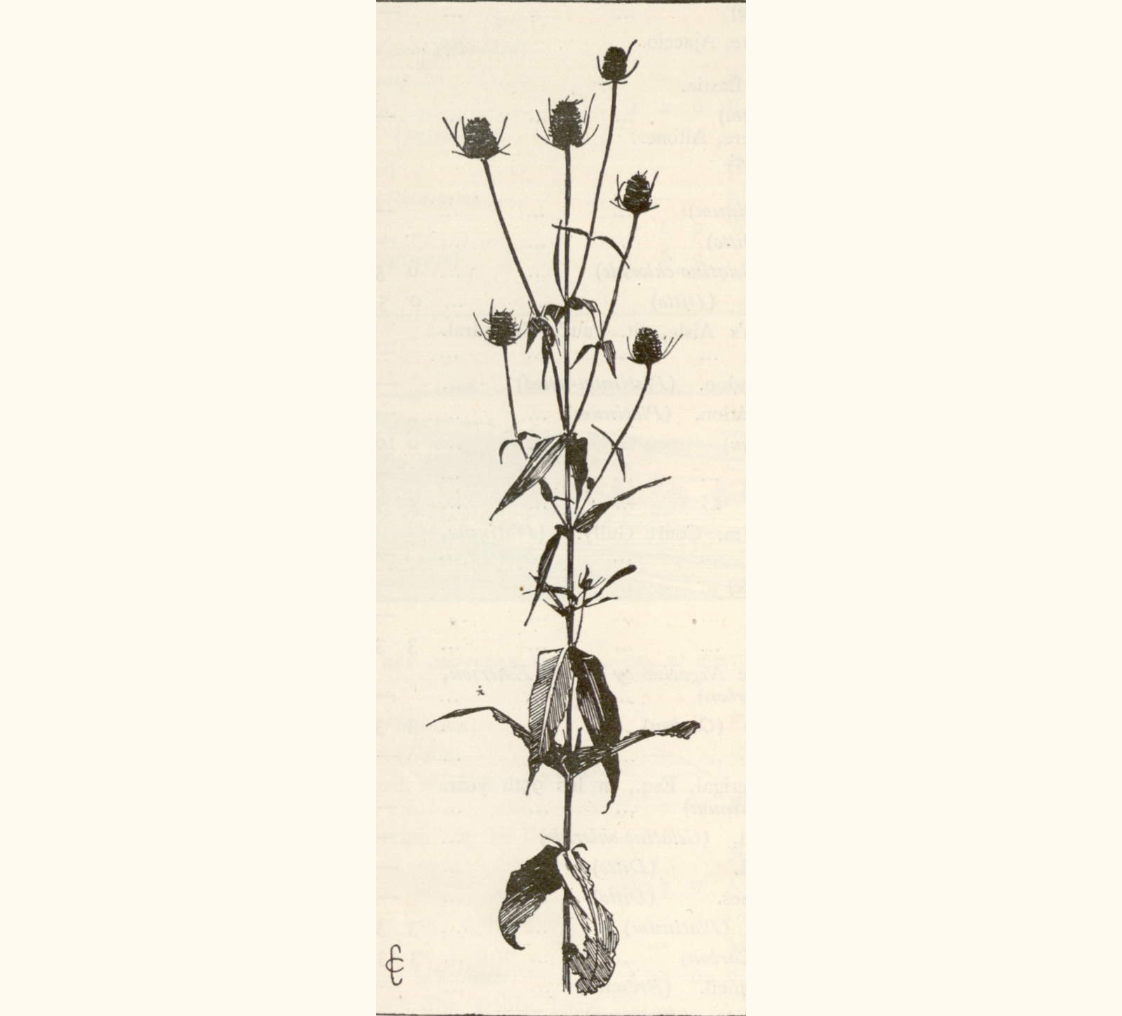 1895 Fortieth Annual Exhibition of the Royal Photographic Society