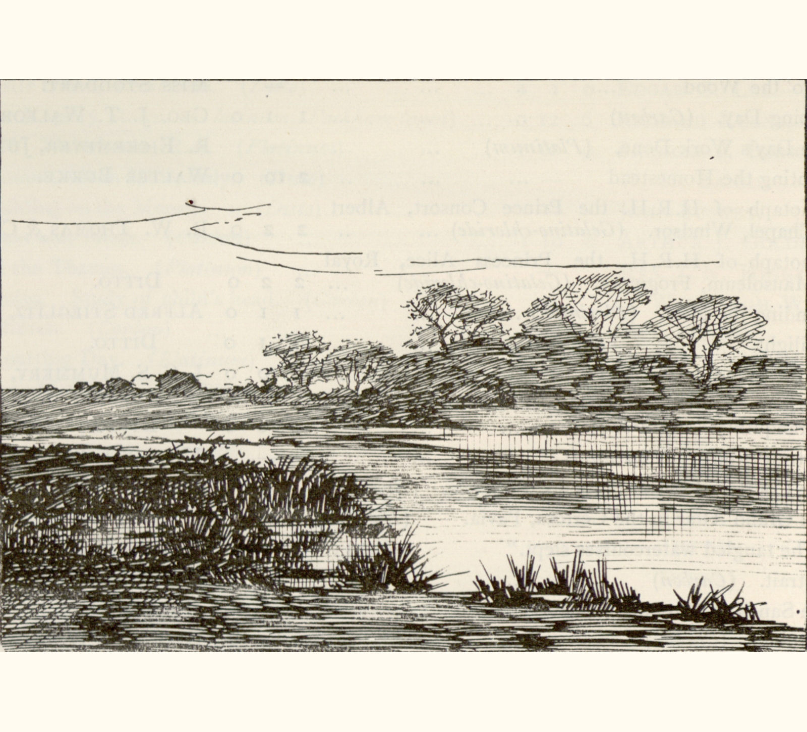 1895 Fortieth Annual Exhibition of the Royal Photographic Society