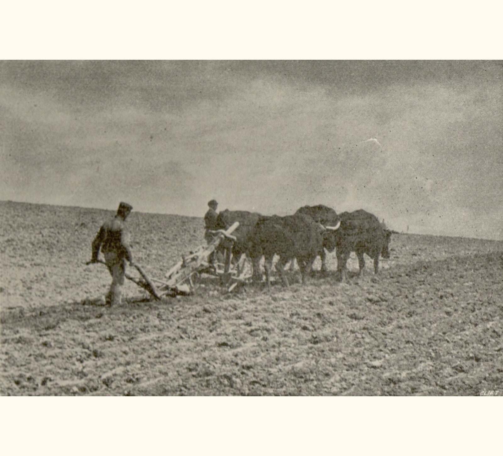 1895 Fortieth Annual Exhibition of the Royal Photographic Society