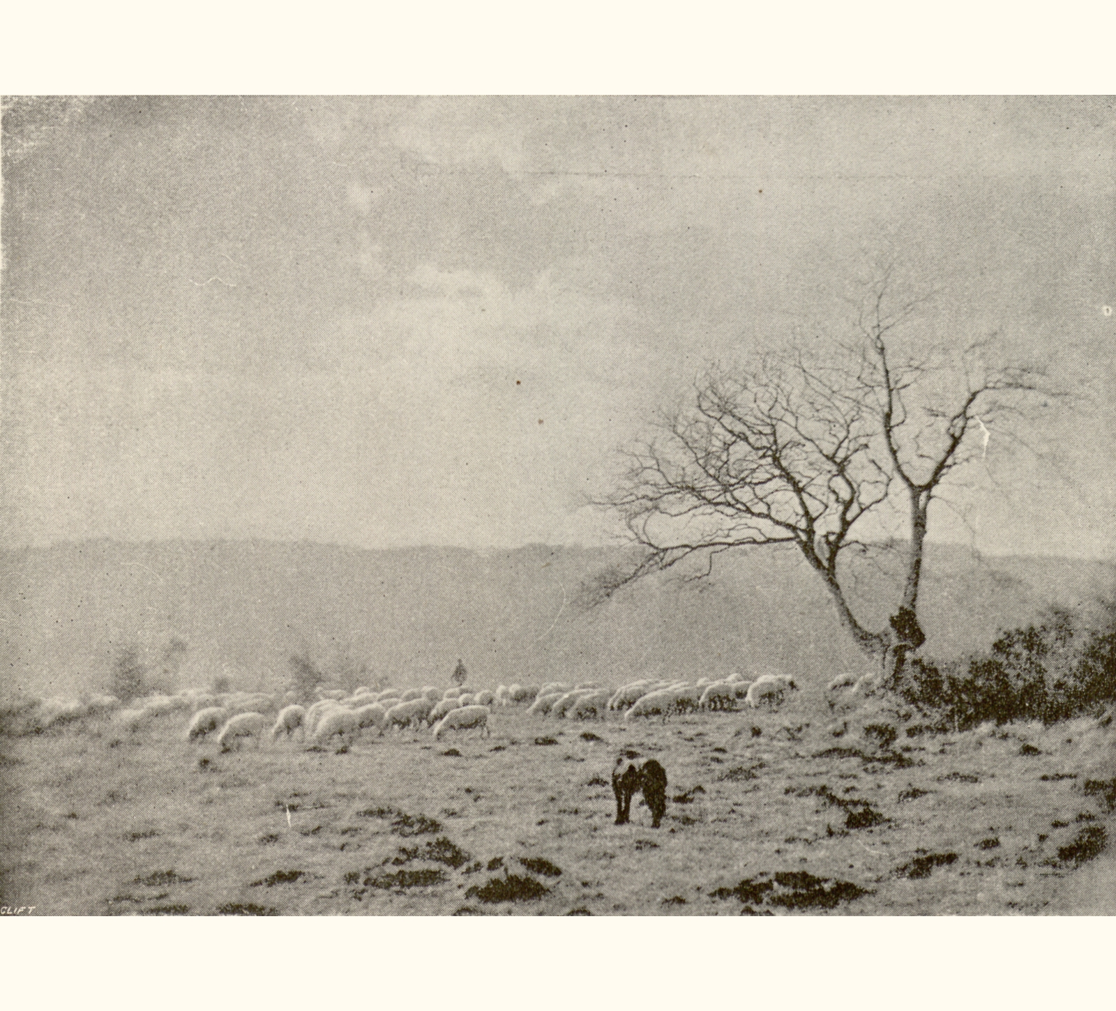1895 Fortieth Annual Exhibition of the Royal Photographic Society