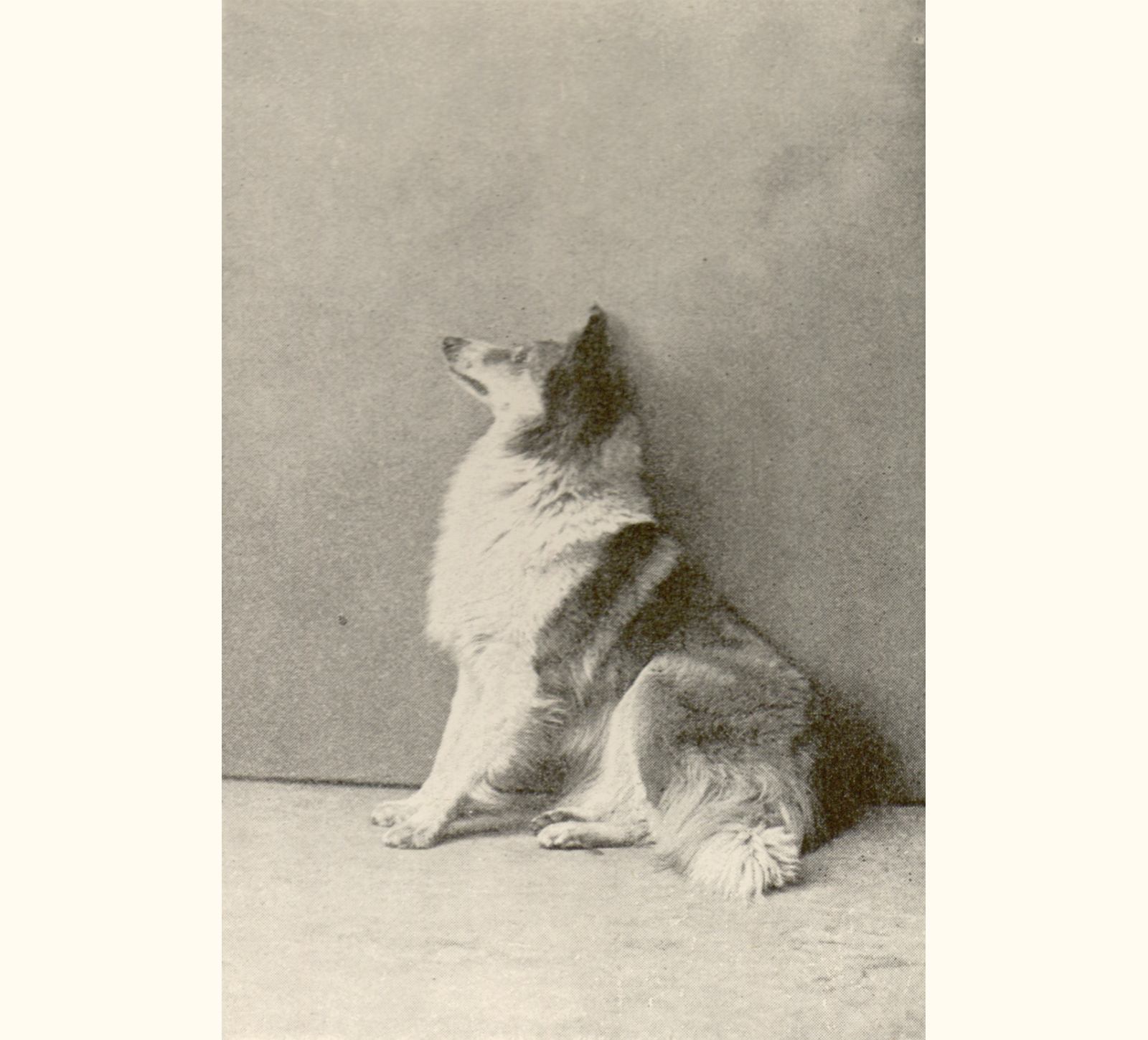 1895 Fortieth Annual Exhibition of the Royal Photographic Society