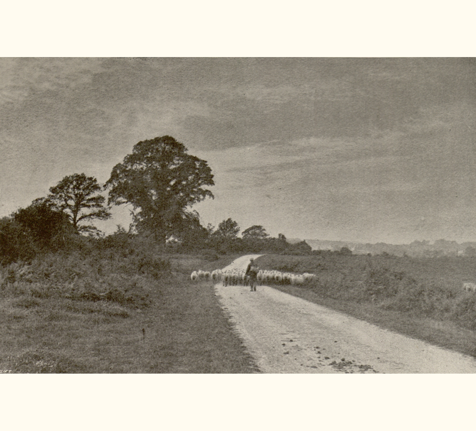 1895 Fortieth Annual Exhibition of the Royal Photographic Society