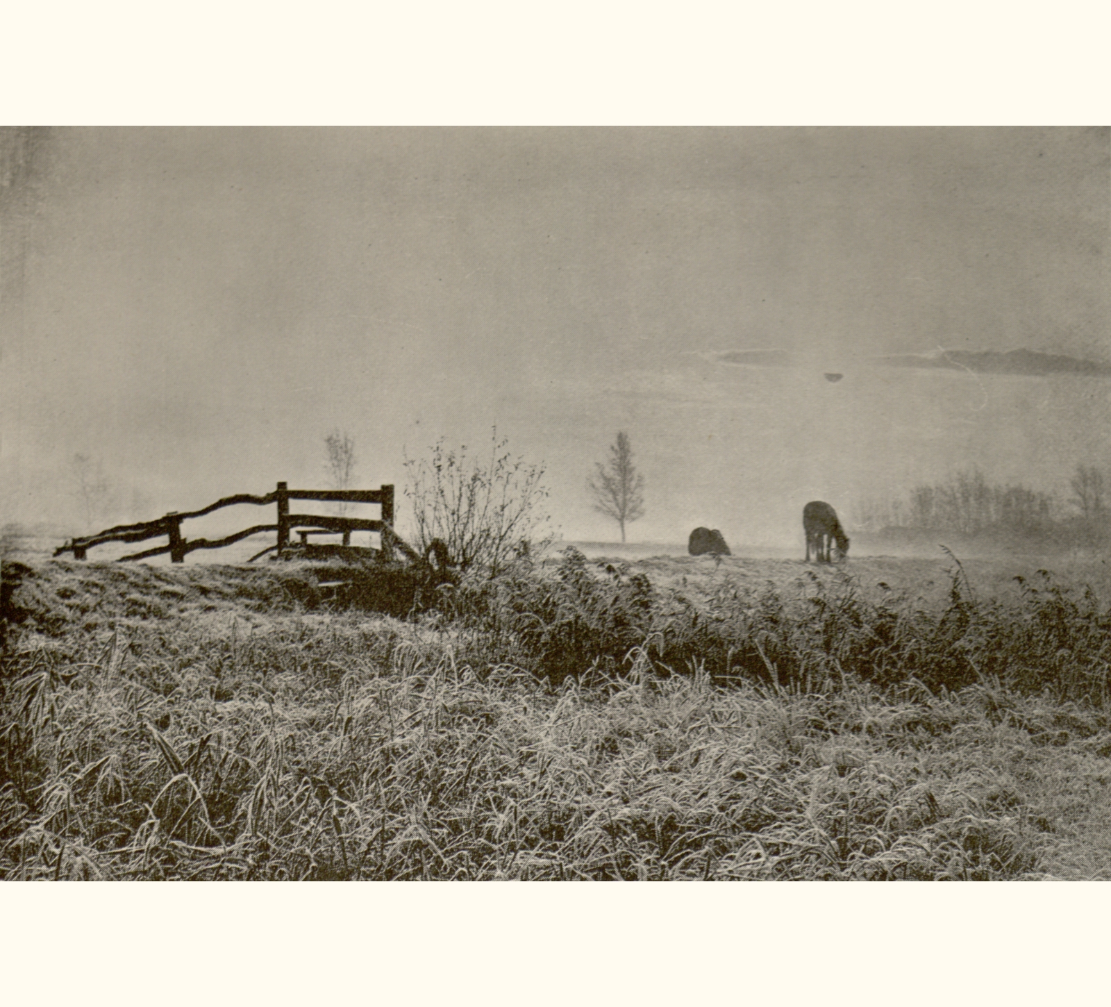 1895 Fortieth Annual Exhibition of the Royal Photographic Society