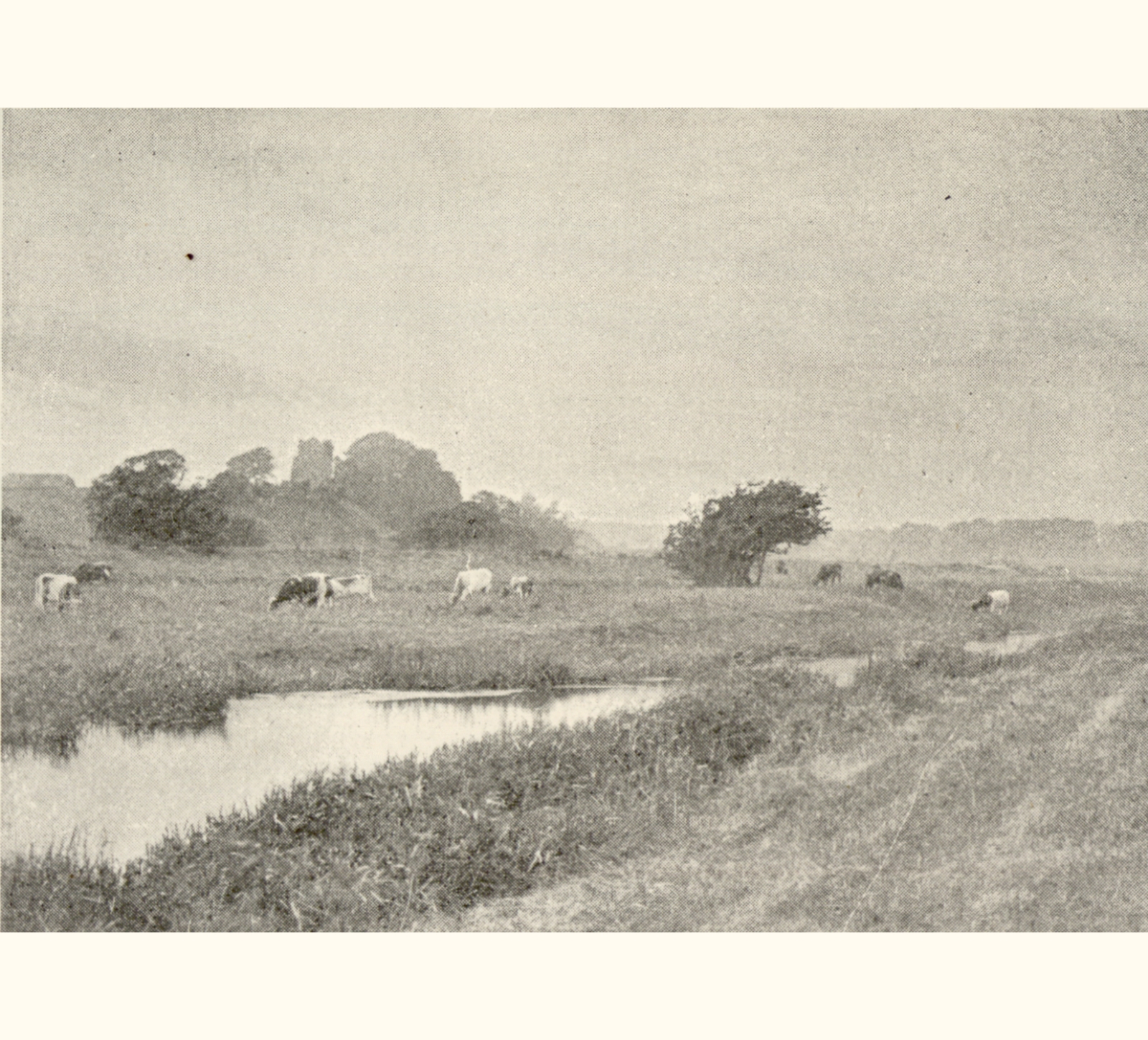 1895 Fortieth Annual Exhibition of the Royal Photographic Society