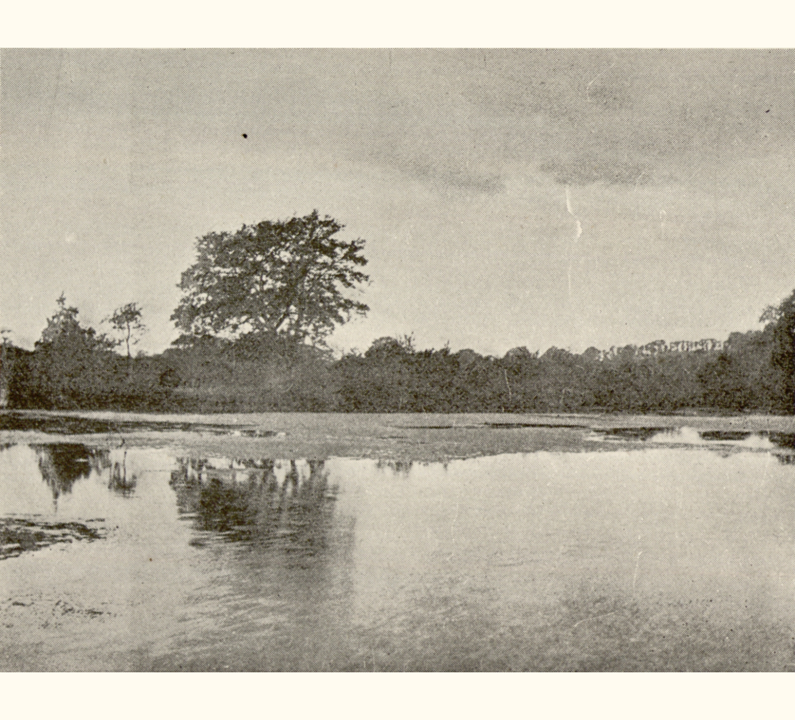 1895 Fortieth Annual Exhibition of the Royal Photographic Society