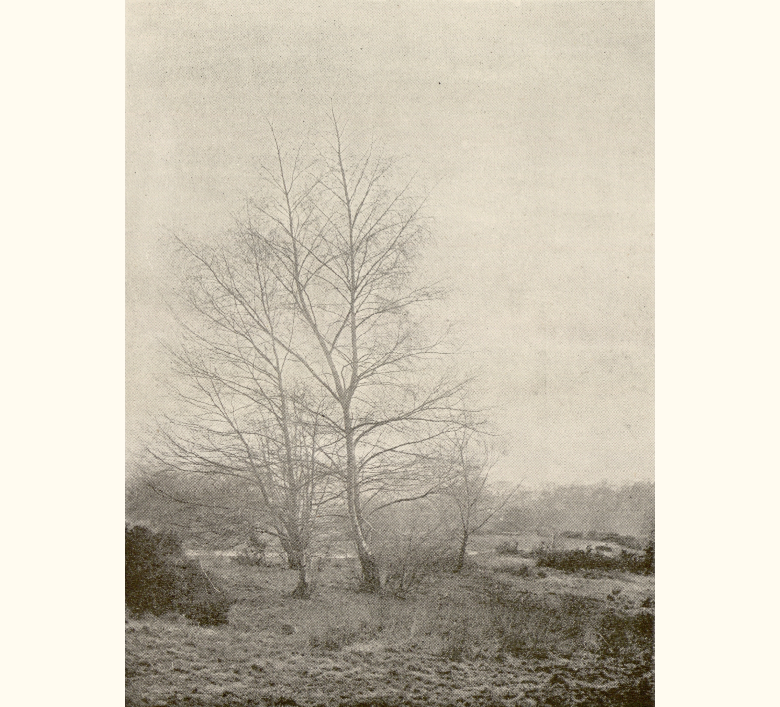 1895 Fortieth Annual Exhibition of the Royal Photographic Society
