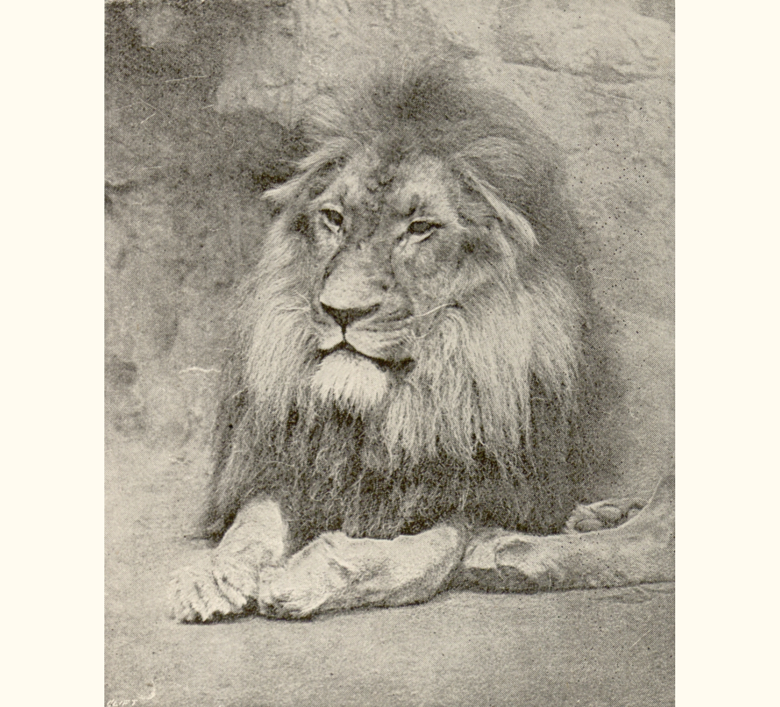 1895 Fortieth Annual Exhibition of the Royal Photographic Society