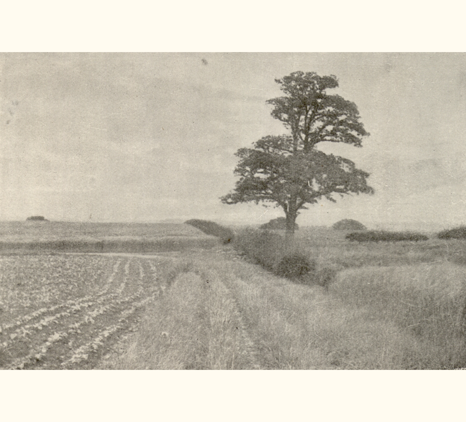 1895 Fortieth Annual Exhibition of the Royal Photographic Society