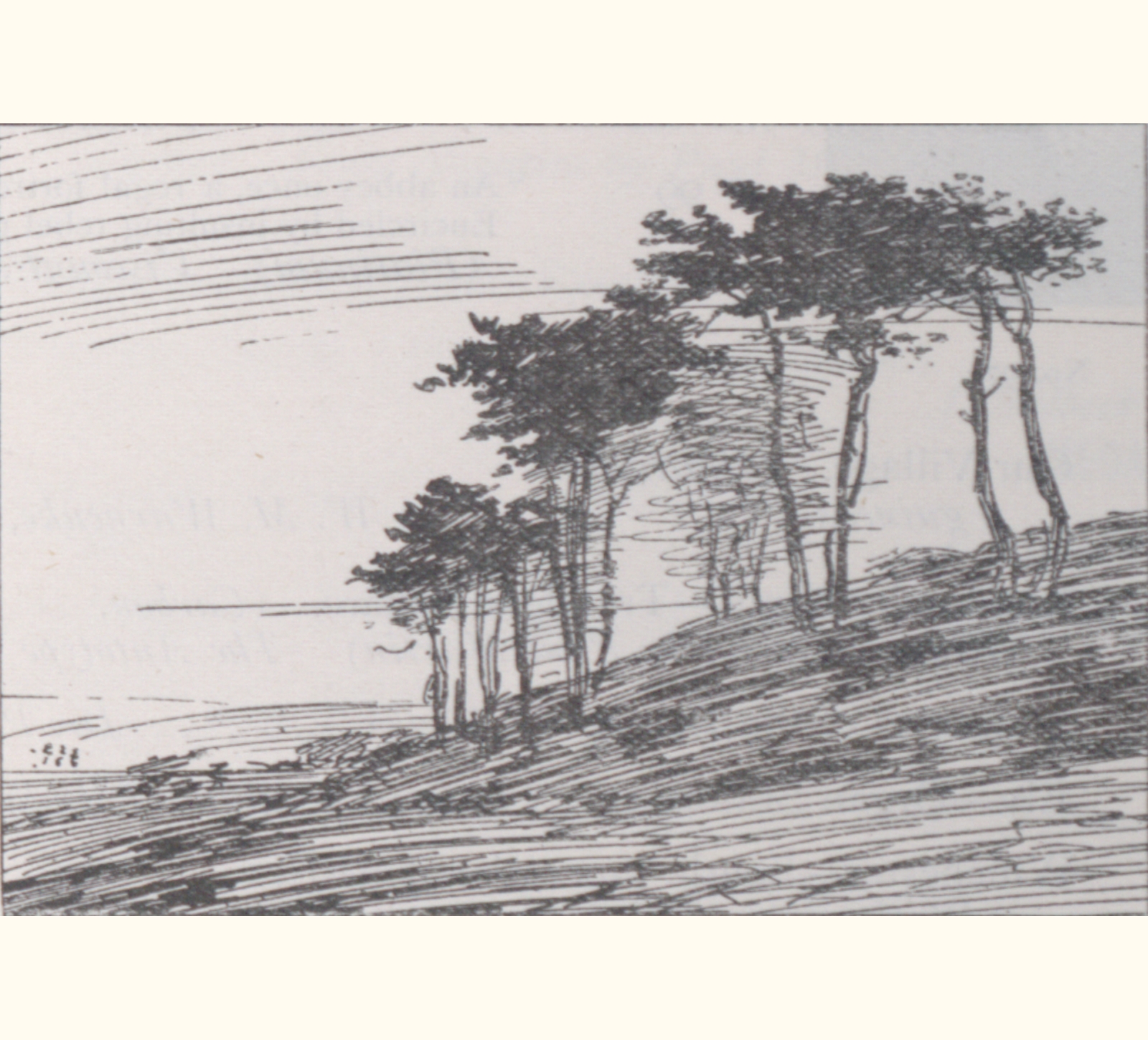 1896 Forty-first Annual Exhibition of the Royal Photographic Society